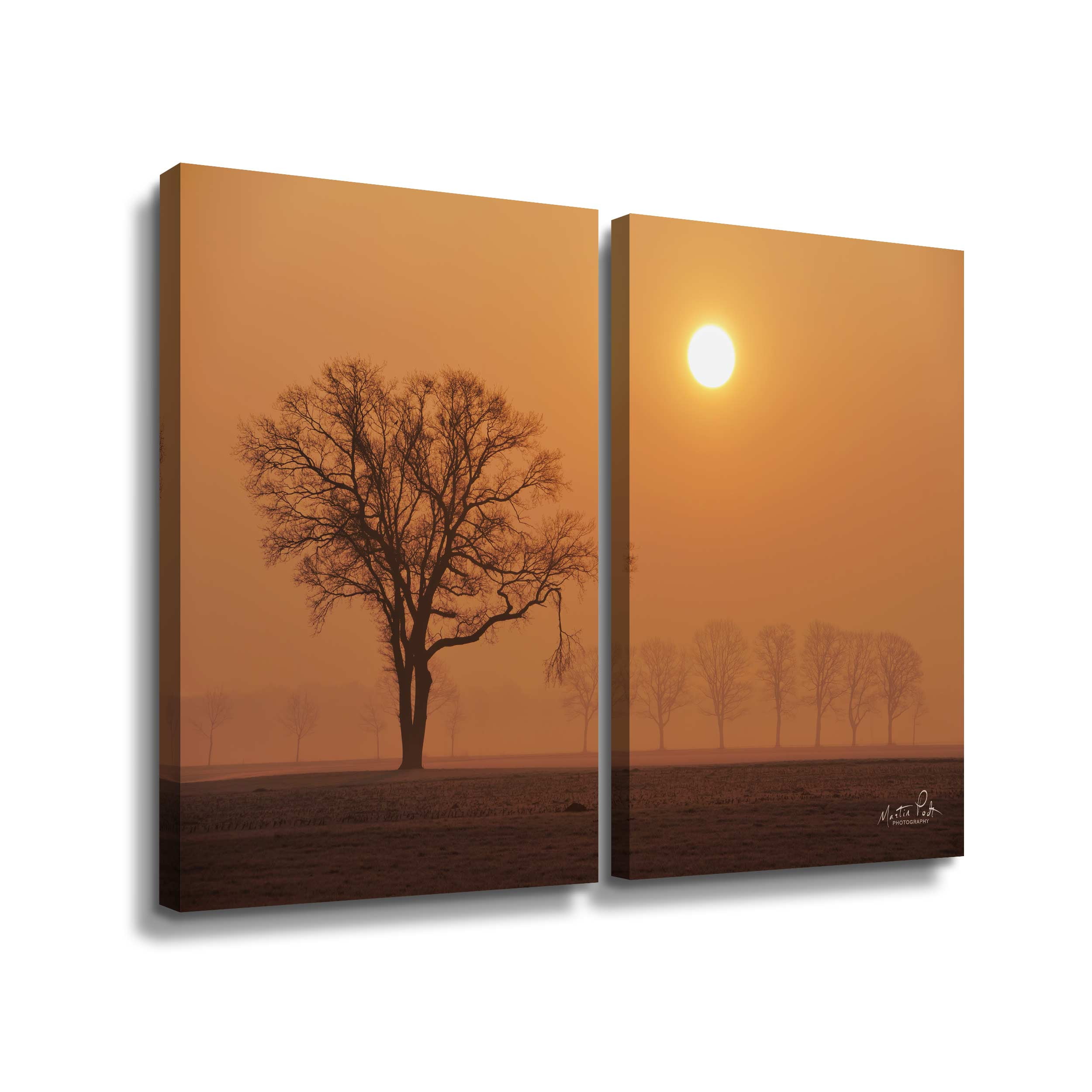 Artwall Broken, 2 Piece Gallery Wrapped Canvas Set by Martin Podt