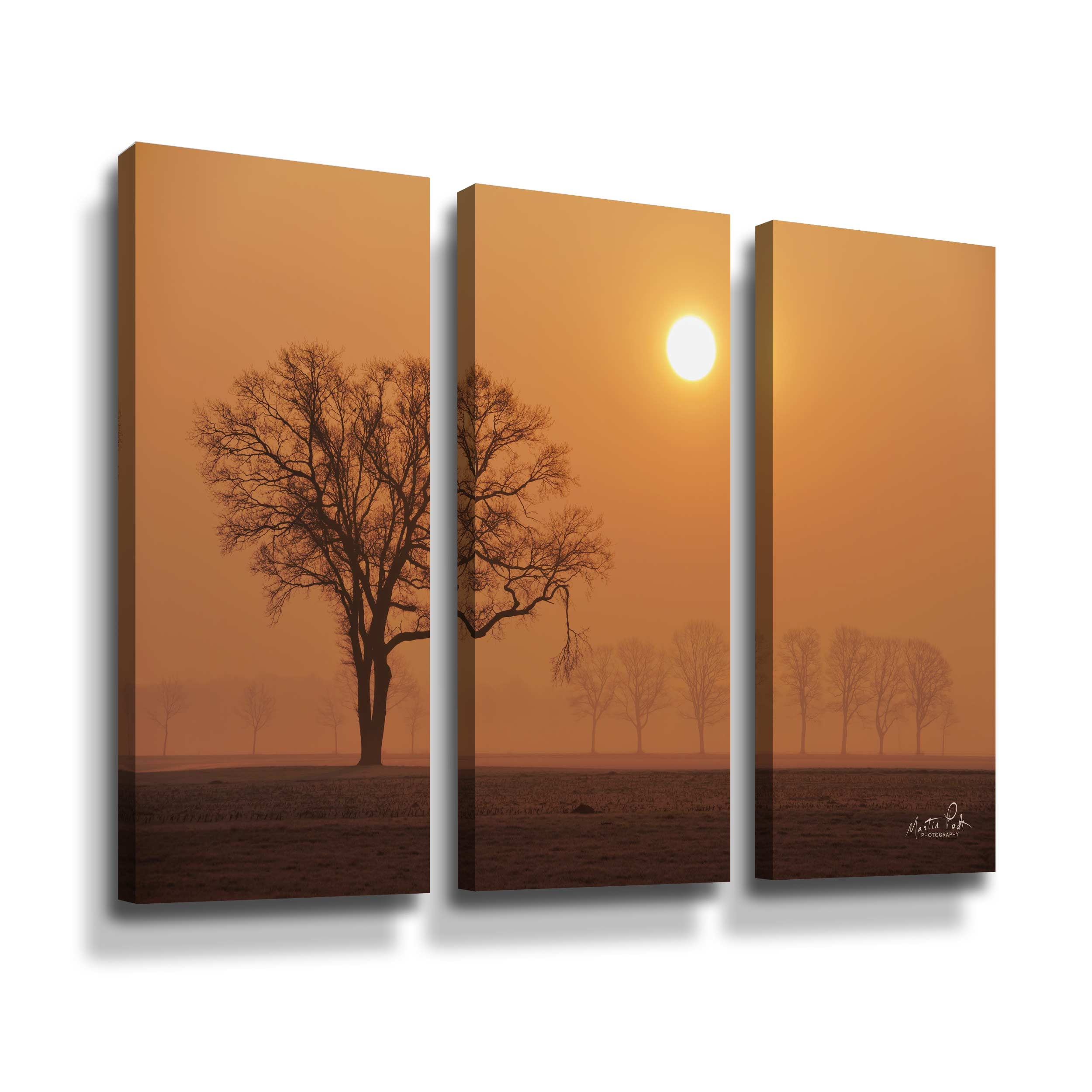Artwall Broken, 3 Piece Gallery Wrapped Canvas Set by Martin Podt