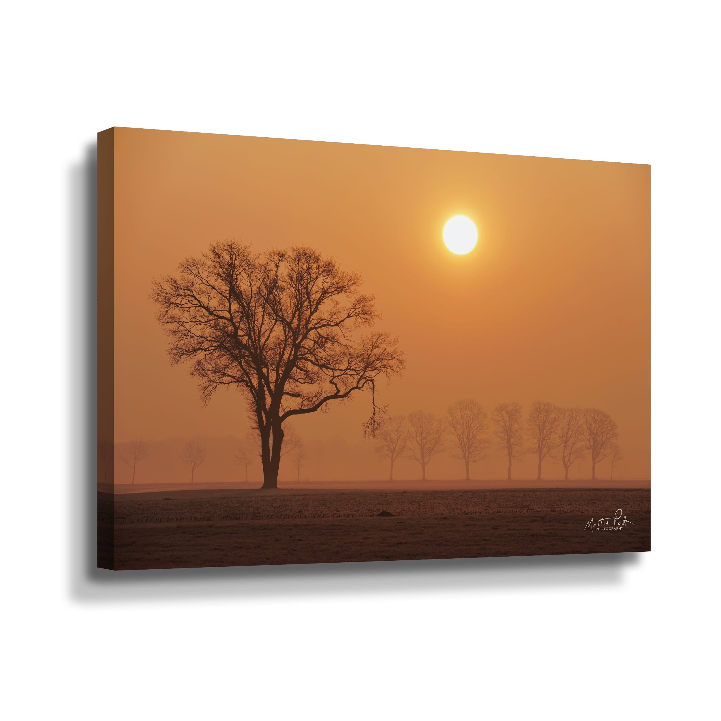Artwall Broken, Gallery Wrapped Canvas by Martin Podt