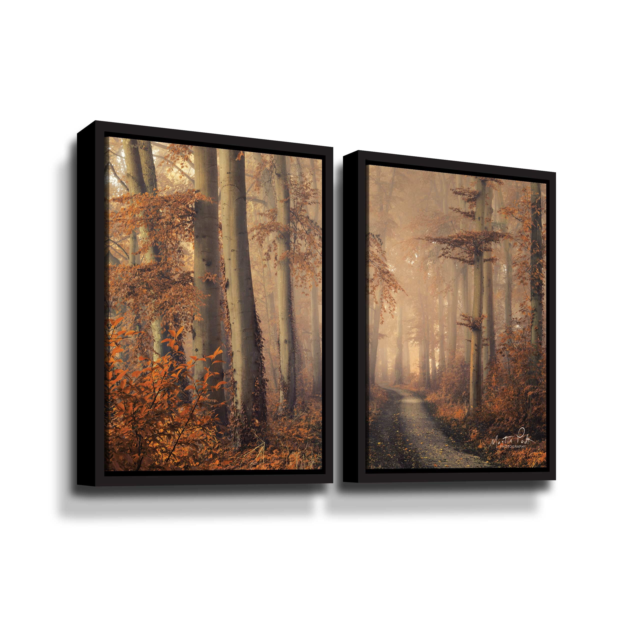 Artwall Brown Beauty, 2 Piece Floater Framed Canvas Set by Martin Podt
