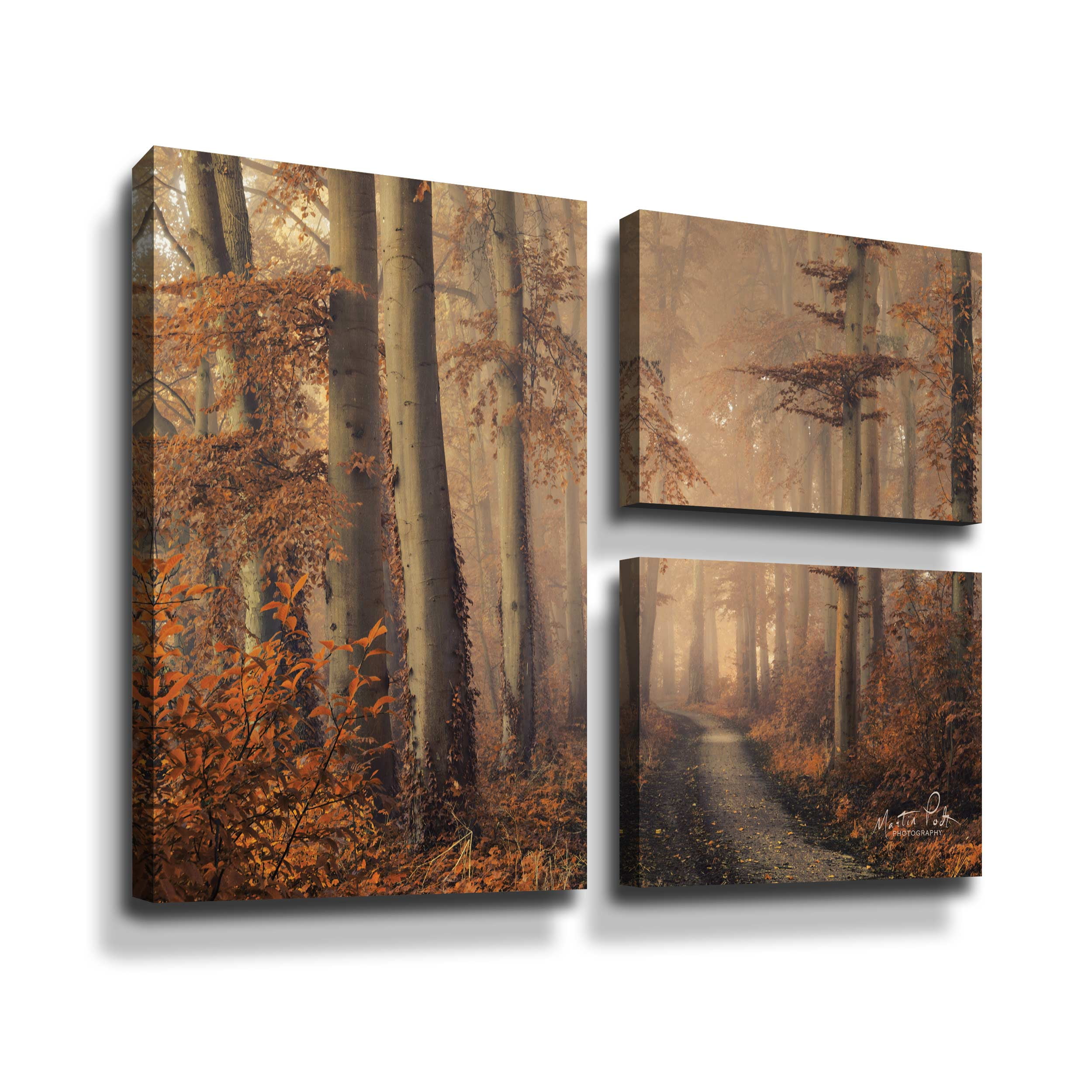 Artwall Brown Beauty, 3 Piece Gallery Wrapped Canvas Flag Set by Martin Podt