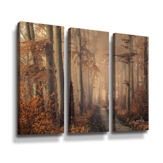 Artwall Brown Beauty, 3 Piece Gallery Wrapped Canvas Set by Martin Podt