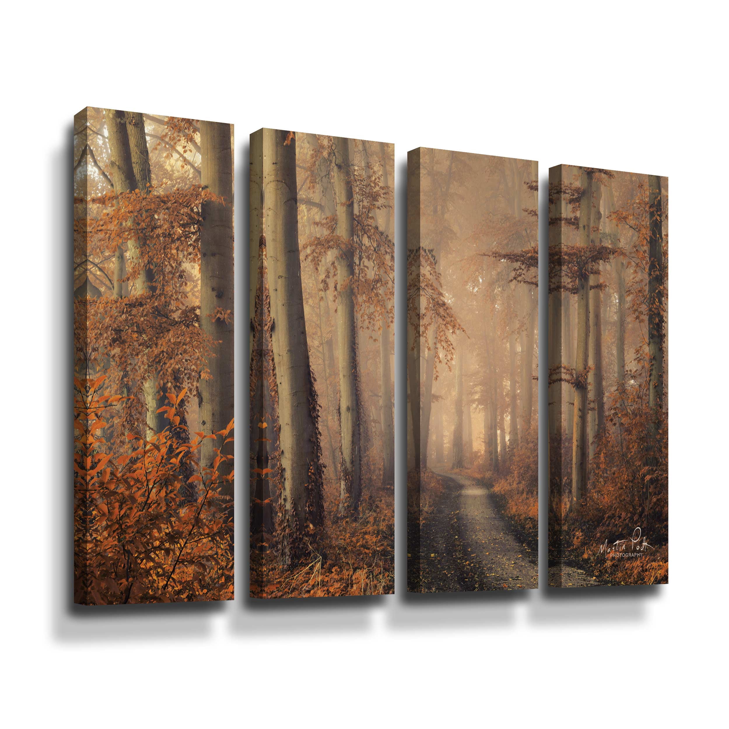 Artwall Brown Beauty, 4 Piece Gallery Wrapped Canvas Set by Martin Podt