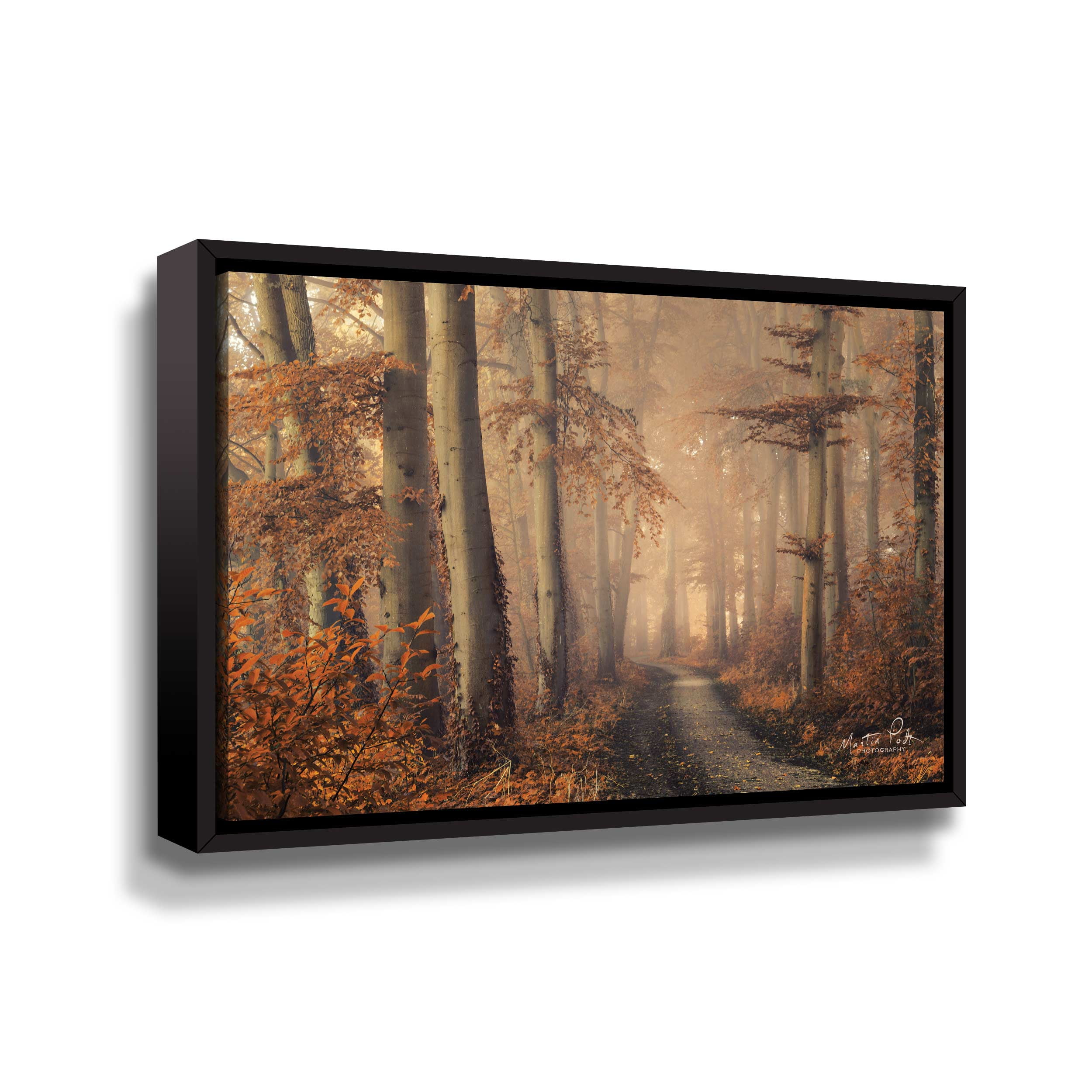 Artwall Brown Beauty, Gallery Wrapped Floater-framed Canvas by Martin Podt