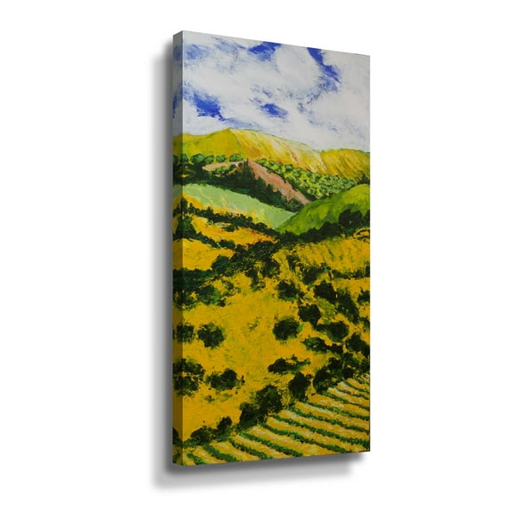 Artwall Deep Valley 3, Gallery Wrapped Canvas by Allan Friedlander