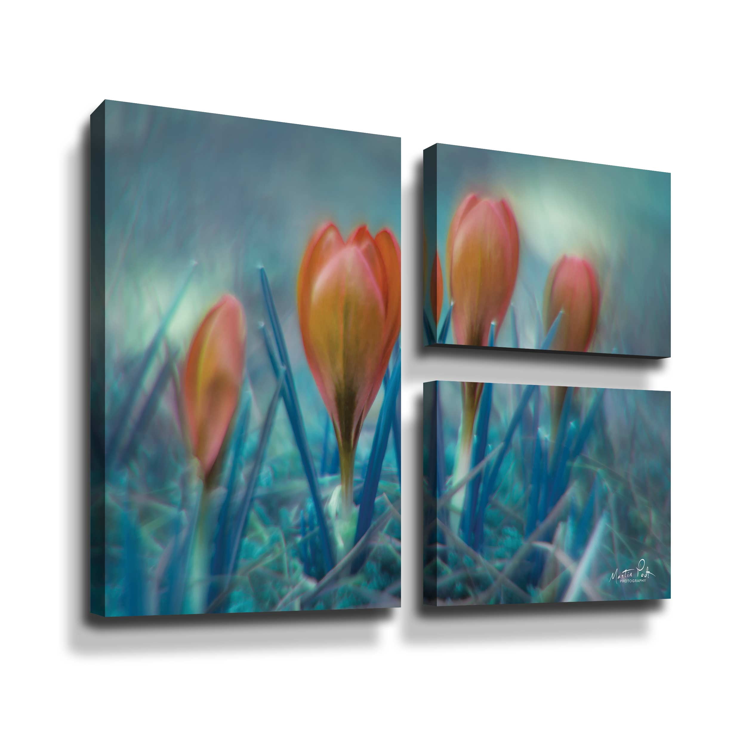 Artwall Different Kind of Spring, 3 Piece Gallery Wrapped Canvas Flag Set by Martin Podt