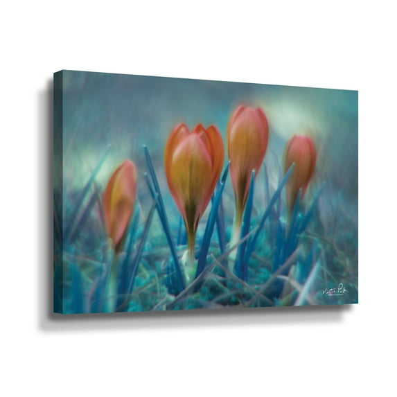 Artwall Different Kind of Spring, Gallery Wrapped Canvas by Martin Podt