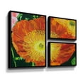 thumbnail image 1 of Artwall Exuberance is Beauty, 3 Piece Floater Framed Canvas Flag Set by Allan Friedlander, 1 of 3