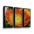 thumbnail image 1 of Artwall Exuberance is Beauty, 3 Piece Floater Framed Canvas Set by Allan Friedlander, 1 of 3