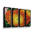 thumbnail image 1 of Artwall Exuberance is Beauty, 4 Piece Floater Framed Canvas Set by Allan Friedlander, 1 of 3