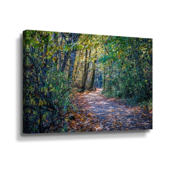 Artwall Fall Colours, Gallery Wrapped Canvas by Tim Oldford
