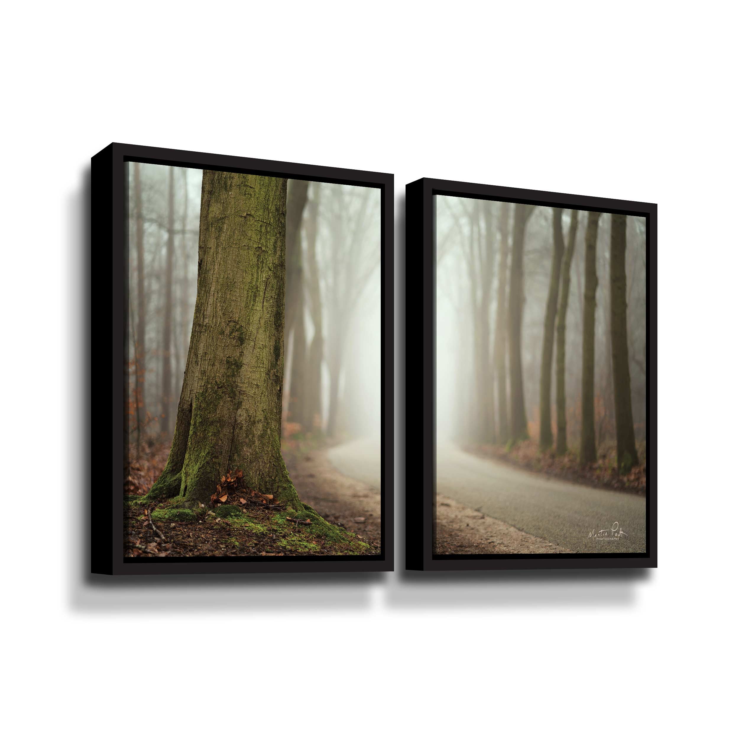 Artwall Focus on What you Want, 2 Piece Floater Framed Canvas Set by Martin Podt