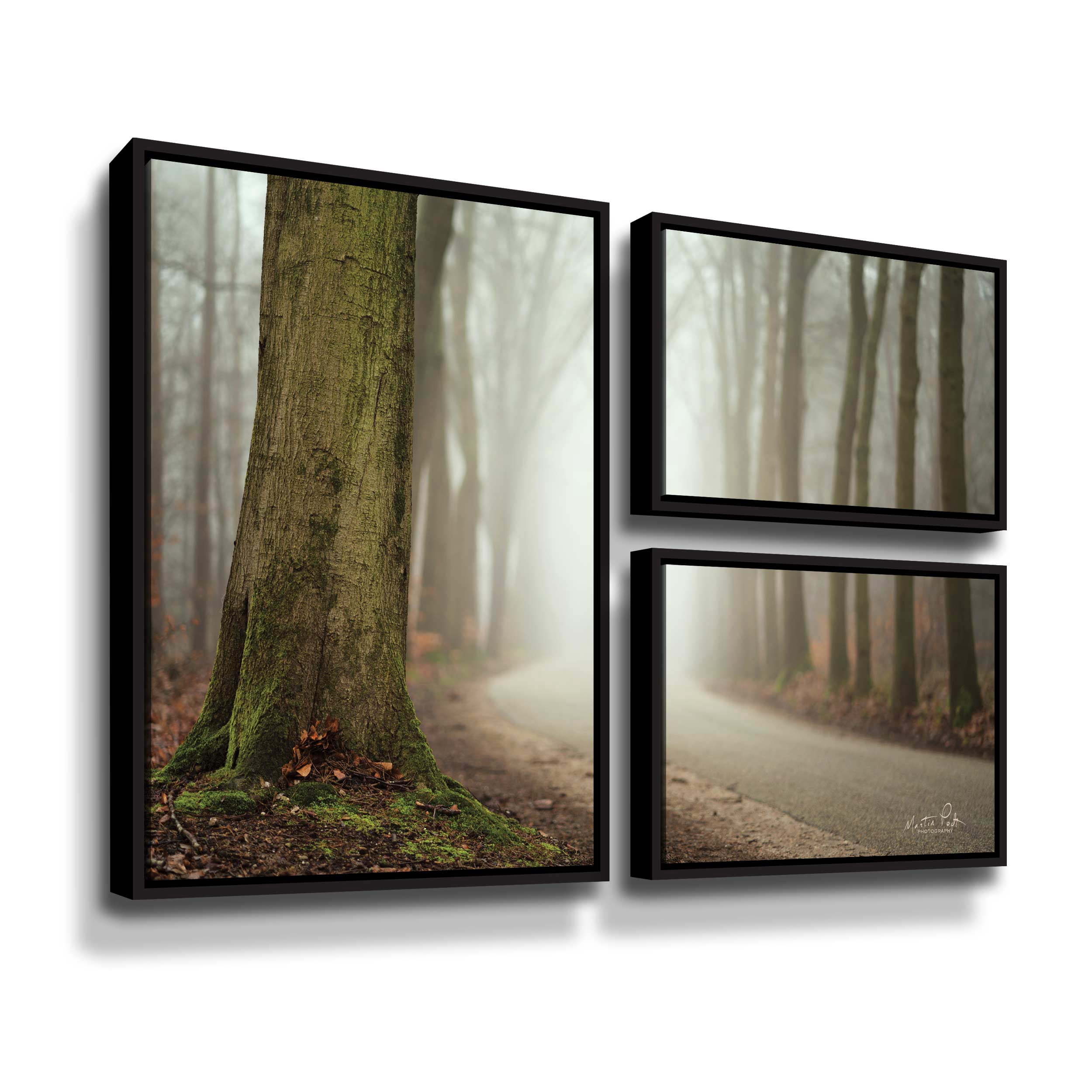 Artwall Focus on What you Want, 3 Piece Floater Framed Canvas Flag Set by Martin Podt