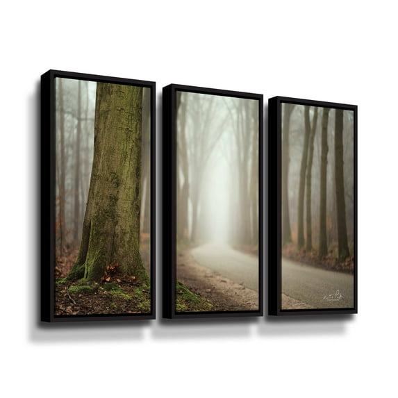 Artwall Focus on What you Want, 3 Piece Floater Framed Canvas Set by Martin Podt