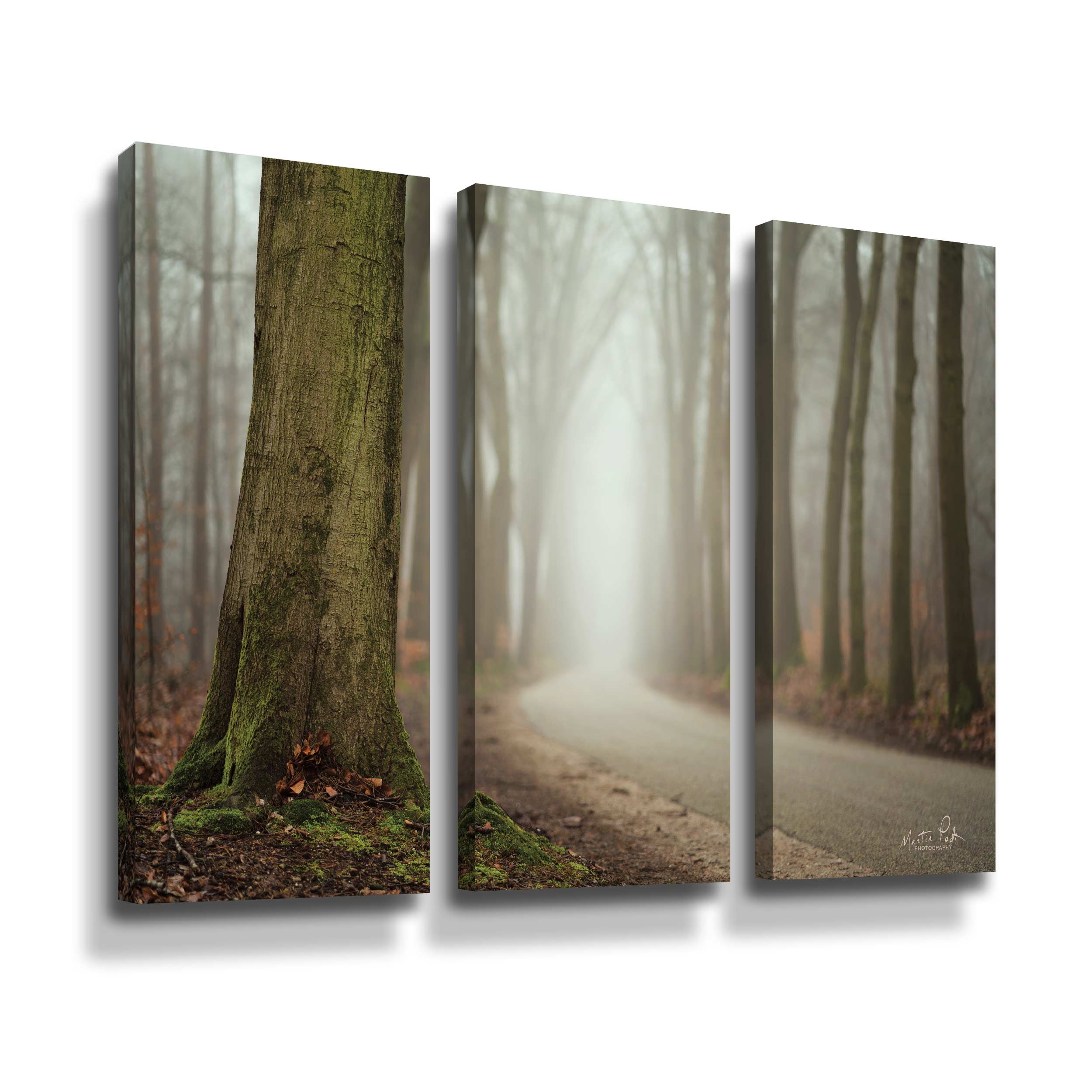 Artwall Focus on What you Want, 3 Piece Gallery Wrapped Canvas Set by Martin Podt