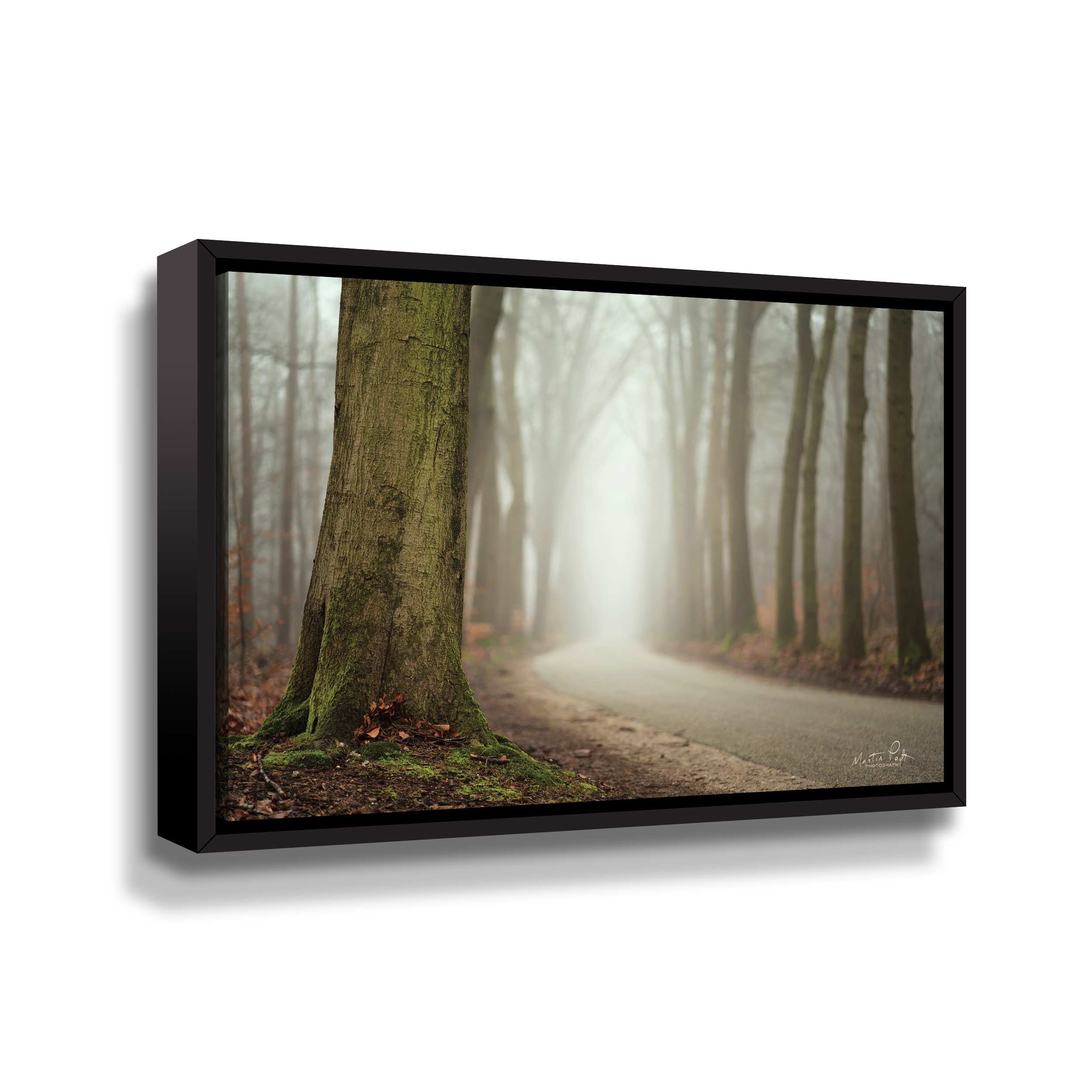 Artwall Focus on What you Want, Gallery Wrapped Floater-framed Canvas by Martin Podt