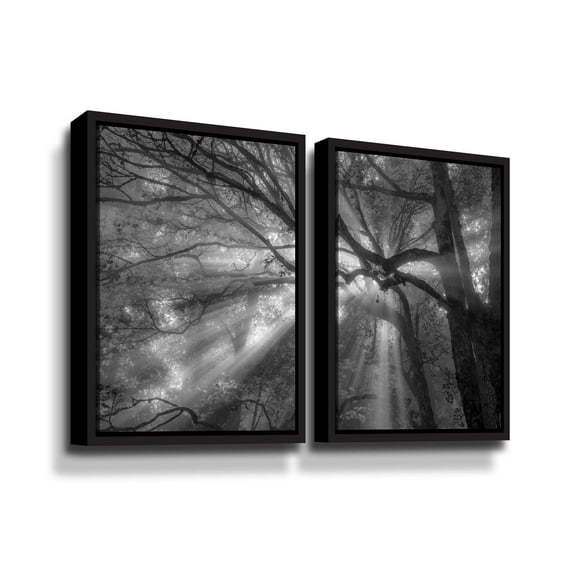 Artwall Forest Fog, 2 Piece Floater Framed Canvas Set by Tim Oldford