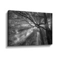 thumbnail image 1 of Artwall Forest Fog, Gallery Wrapped Canvas by Tim Oldford, 1 of 3