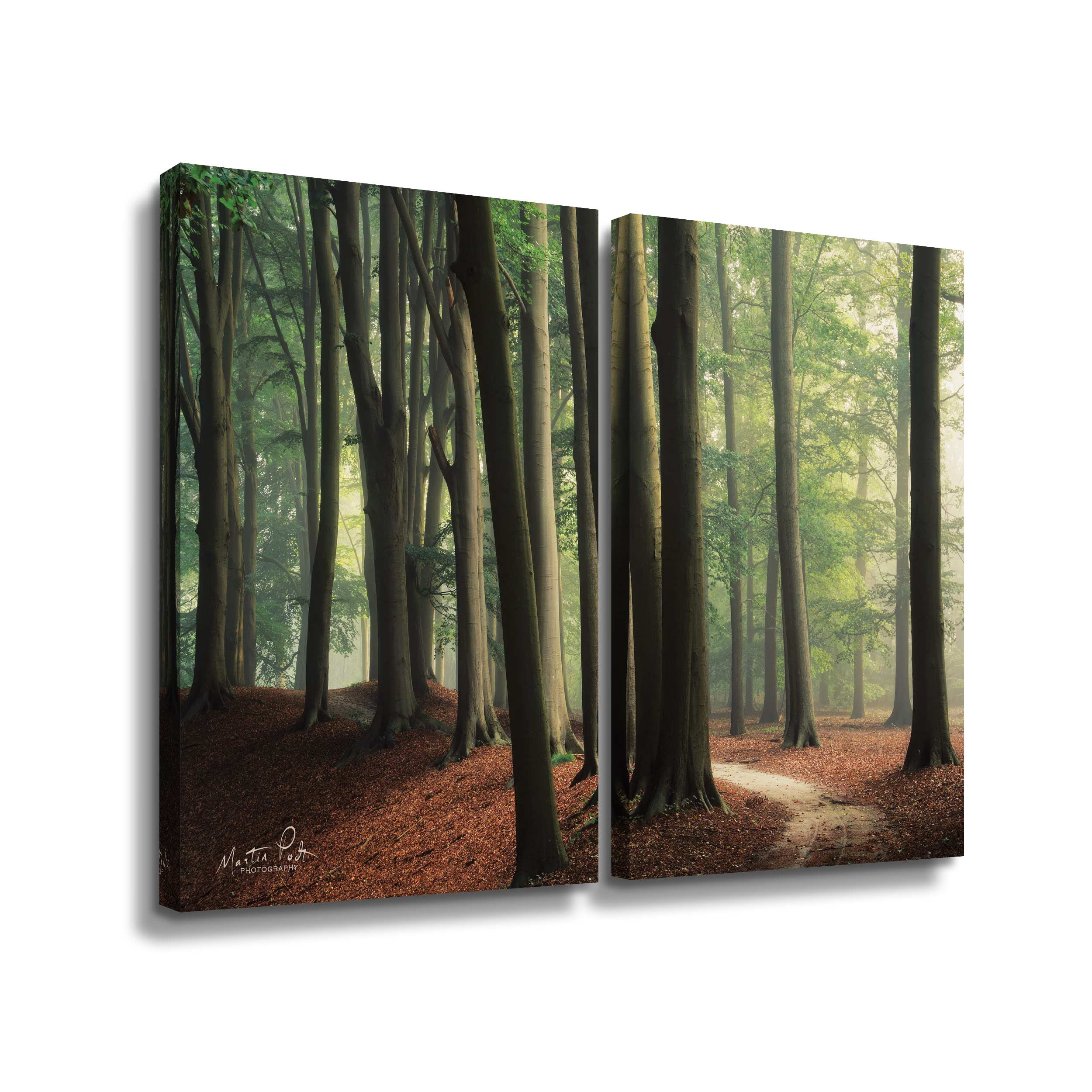 Artwall In the Curve, 2 Piece Gallery Wrapped Canvas Set by Martin Podt