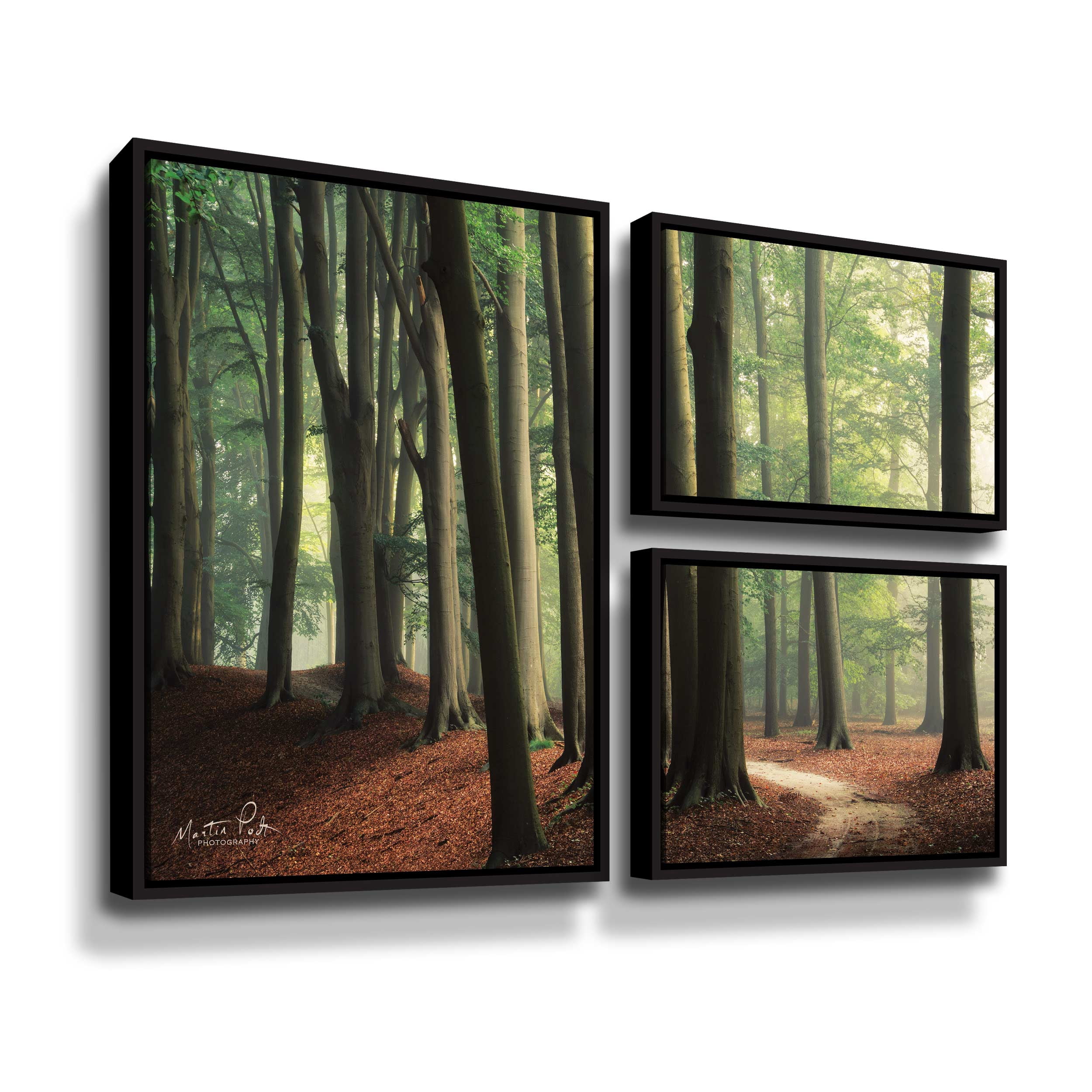 Artwall In the Curve, 3 Piece Floater Framed Canvas Flag Set by Martin Podt