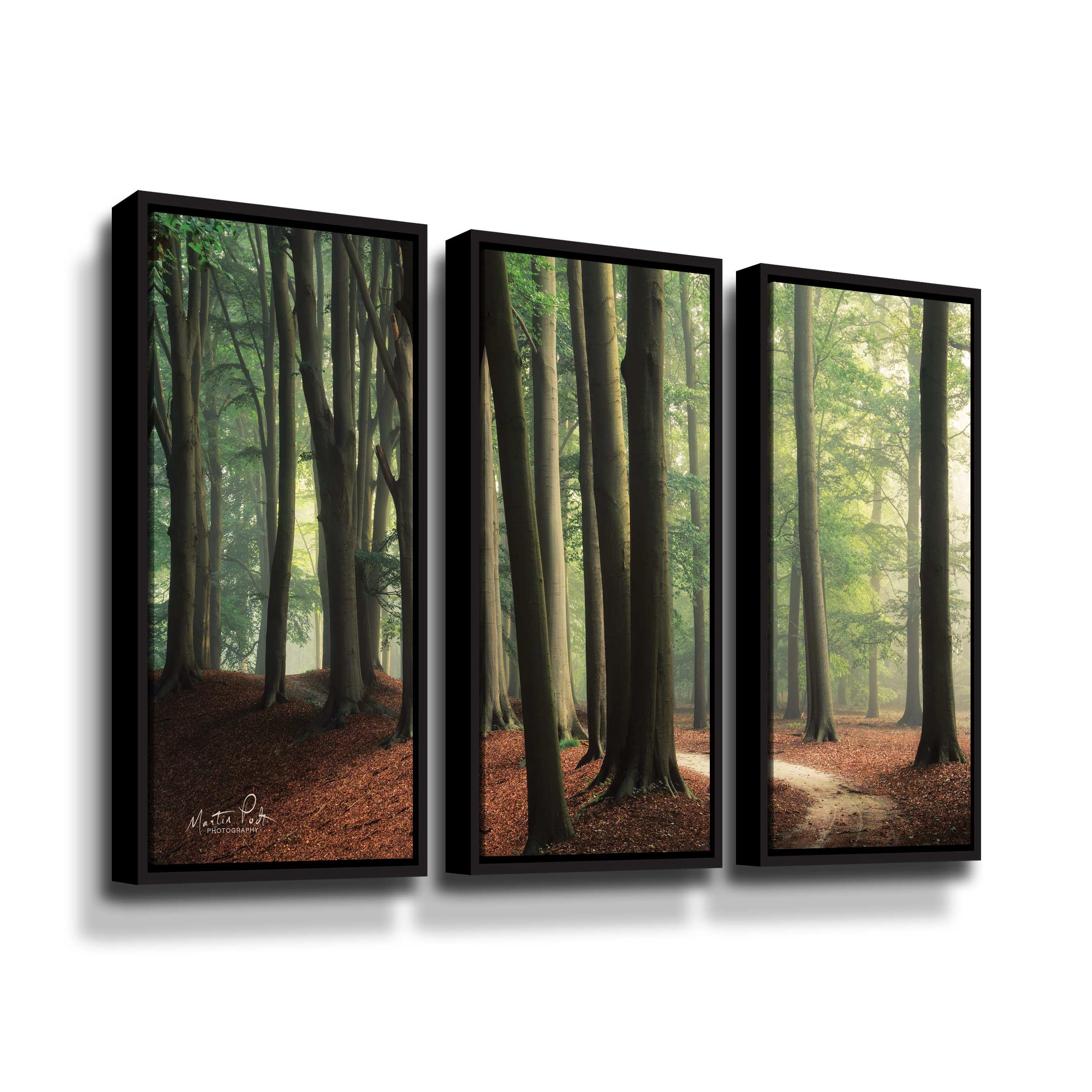 Artwall In the Curve, 3 Piece Floater Framed Canvas Set by Martin Podt