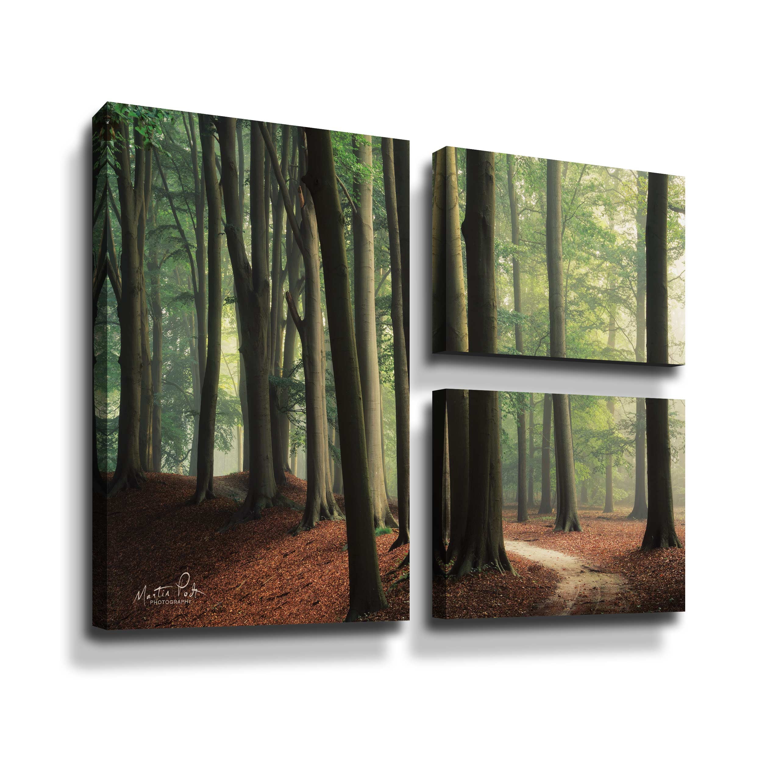 Artwall In the Curve, 3 Piece Gallery Wrapped Canvas Flag Set by Martin Podt