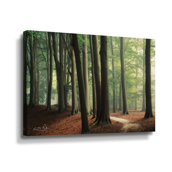 Artwall In the Curve, Gallery Wrapped Canvas by Martin Podt