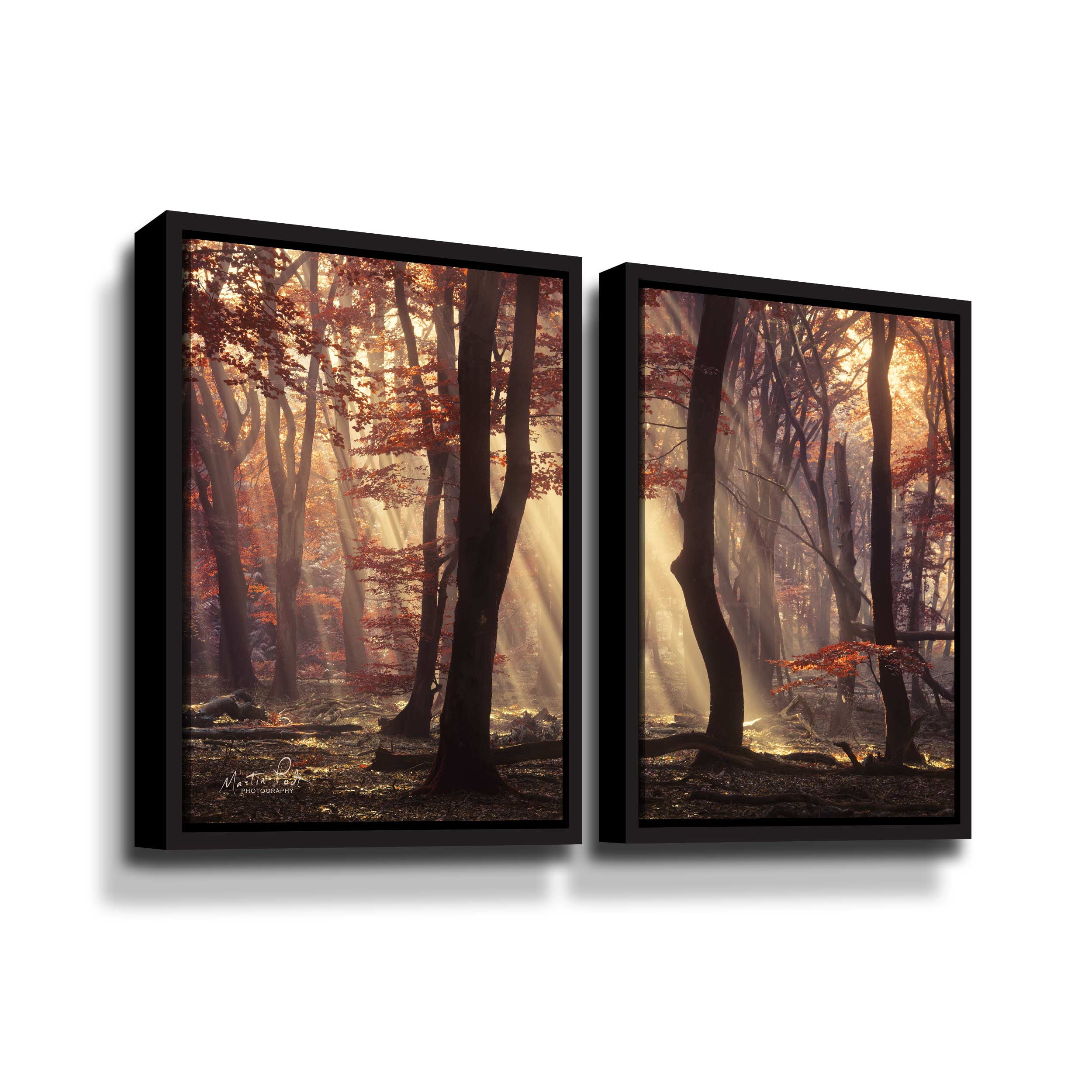 Artwall Its Raining Sunrays, 2 Piece Floater Framed Canvas Set by Martin Podt