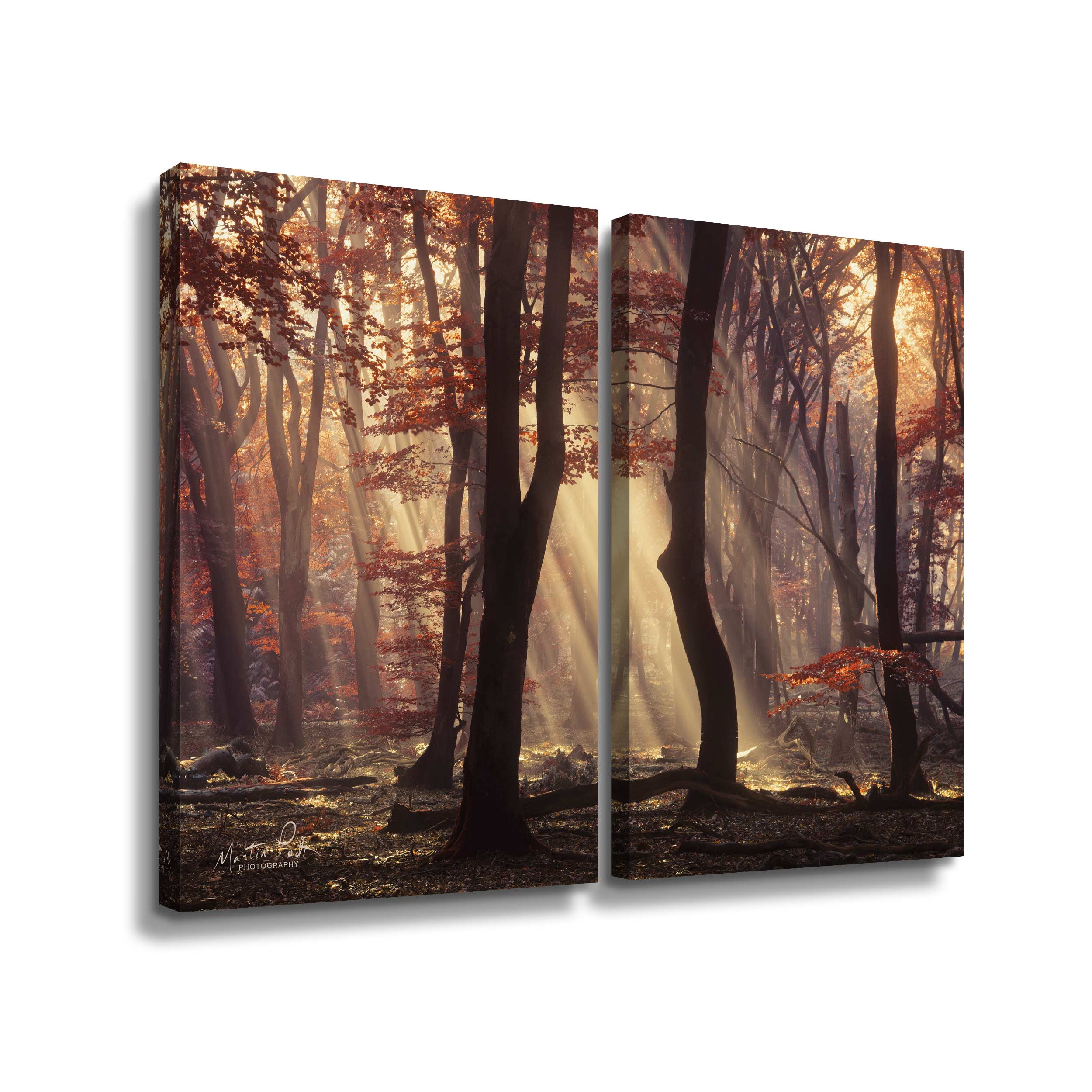 Artwall Its Raining Sunrays, 2 Piece Gallery Wrapped Canvas Set by Martin Podt