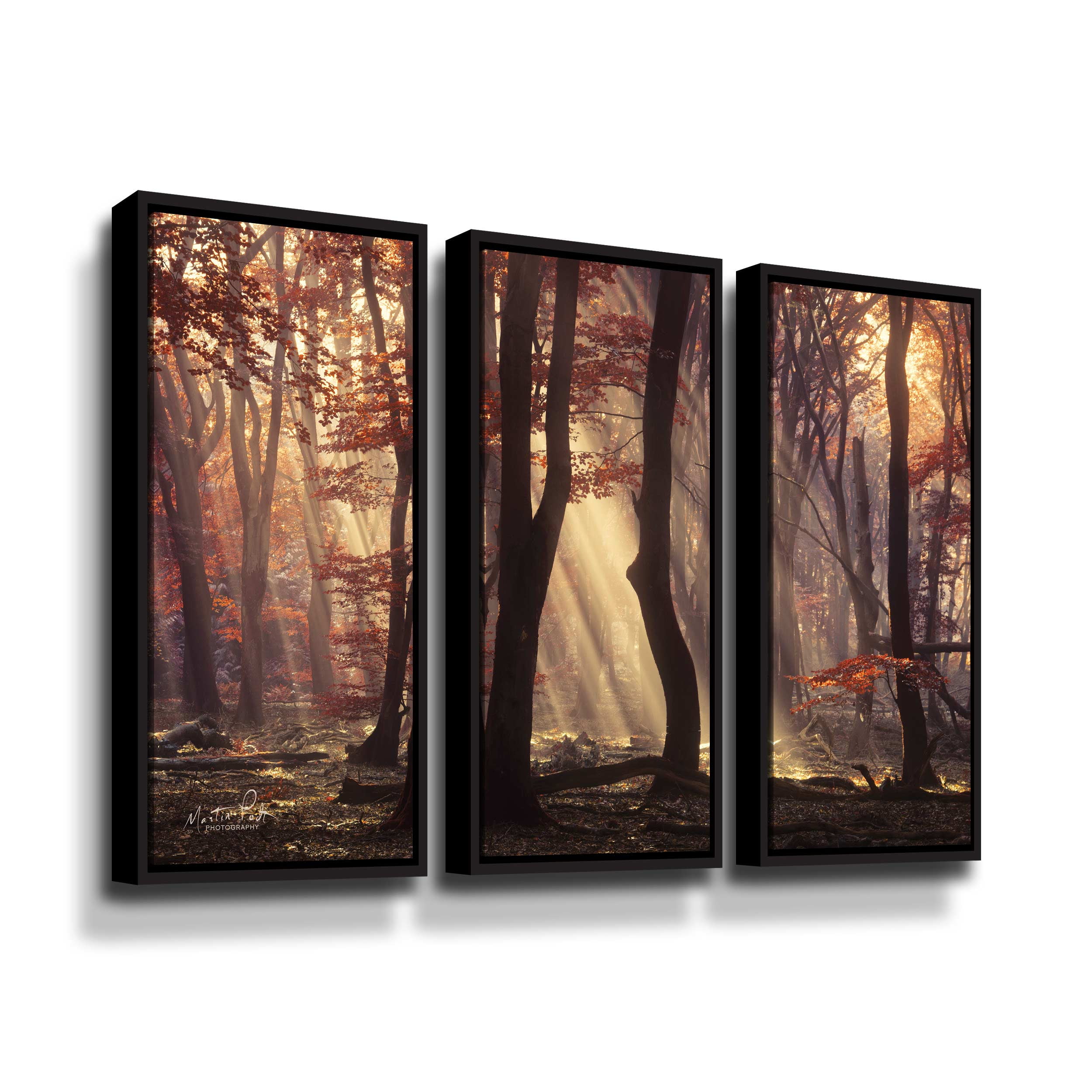 Artwall Its Raining Sunrays, 3 Piece Floater Framed Canvas Set by Martin Podt