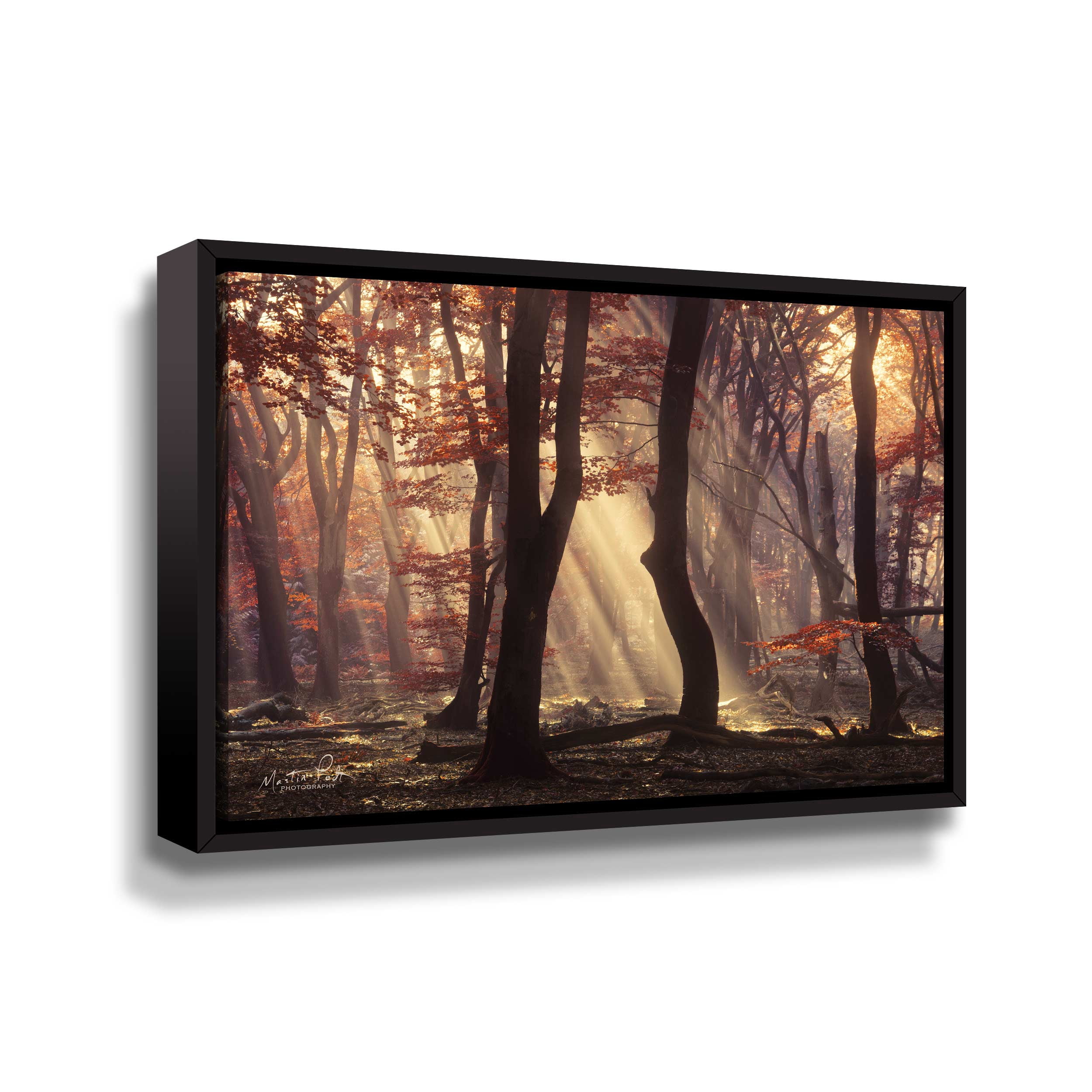 Artwall Its Raining Sunrays, Gallery Wrapped Floater-framed Canvas by Martin Podt