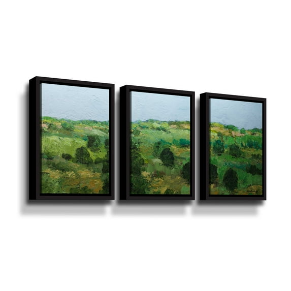 Artwall Just Roll Along, 3 Piece Floater Framed Canvas Set by Allan Friedlander