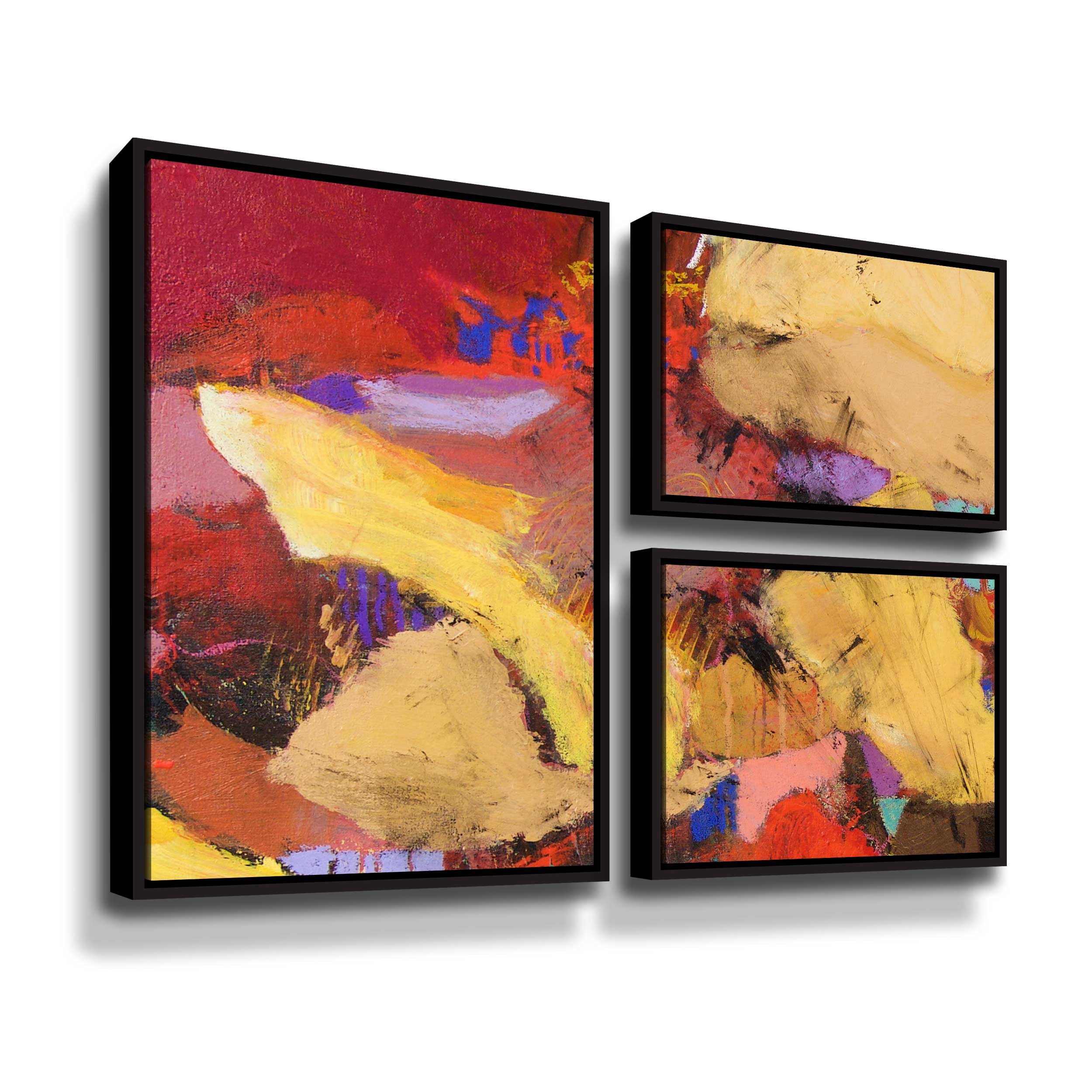 Artwall Kinky Thunder, 3 Piece Floater Framed Canvas Flag Set by Allan Friedlander