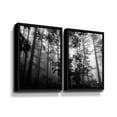 thumbnail image 1 of Artwall Misty Forest, 2 Piece Floater Framed Canvas Set by Tim Oldford, 1 of 3