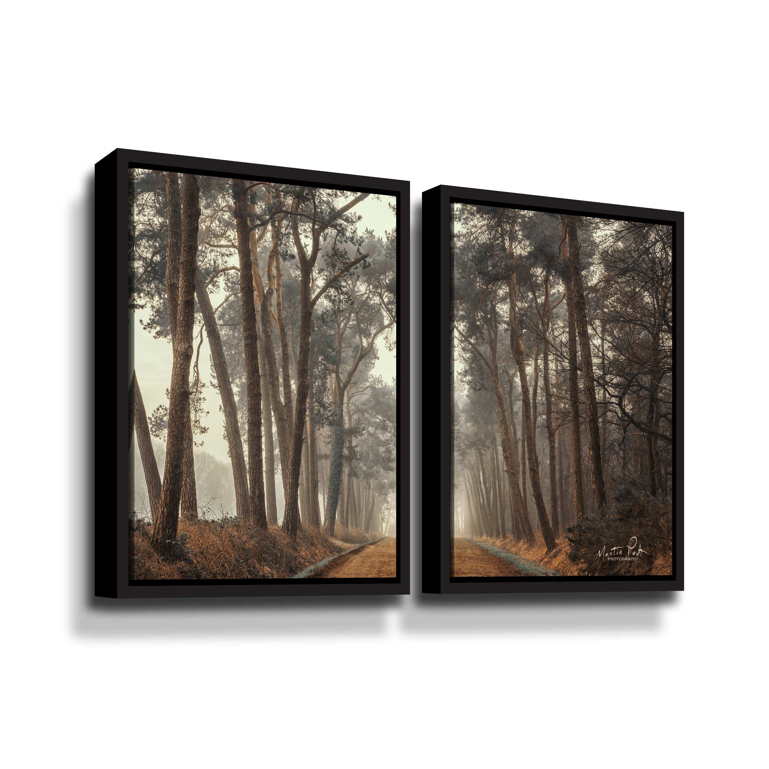 Artwall Path of Pines, 2 Piece Floater Framed Canvas Set by Martin Podt