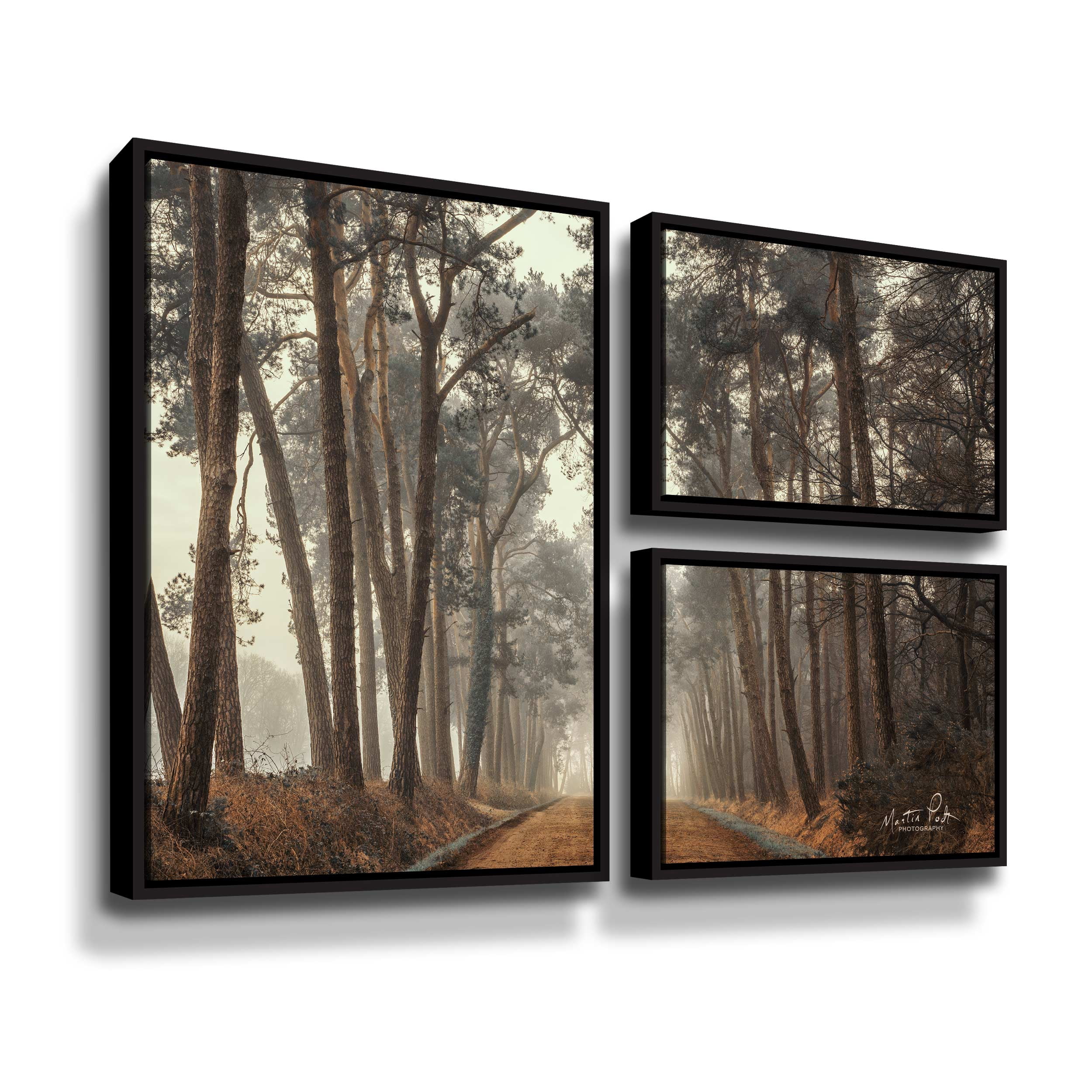 Artwall Path of Pines, 3 Piece Floater Framed Canvas Flag Set by Martin Podt