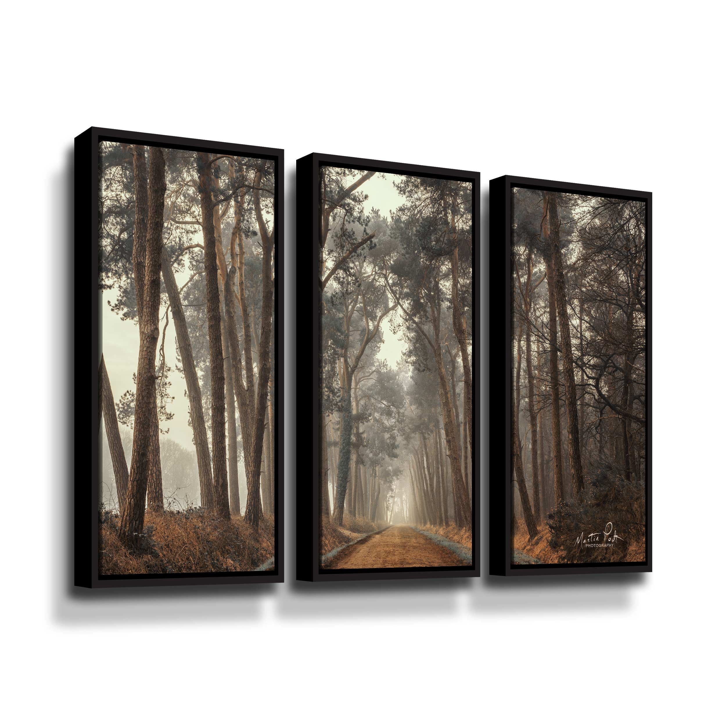 Artwall Path of Pines, 3 Piece Floater Framed Canvas Set by Martin Podt