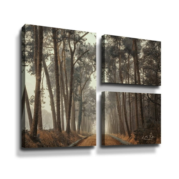 Artwall Path of Pines, 3 Piece Gallery Wrapped Canvas Flag Set by Martin Podt