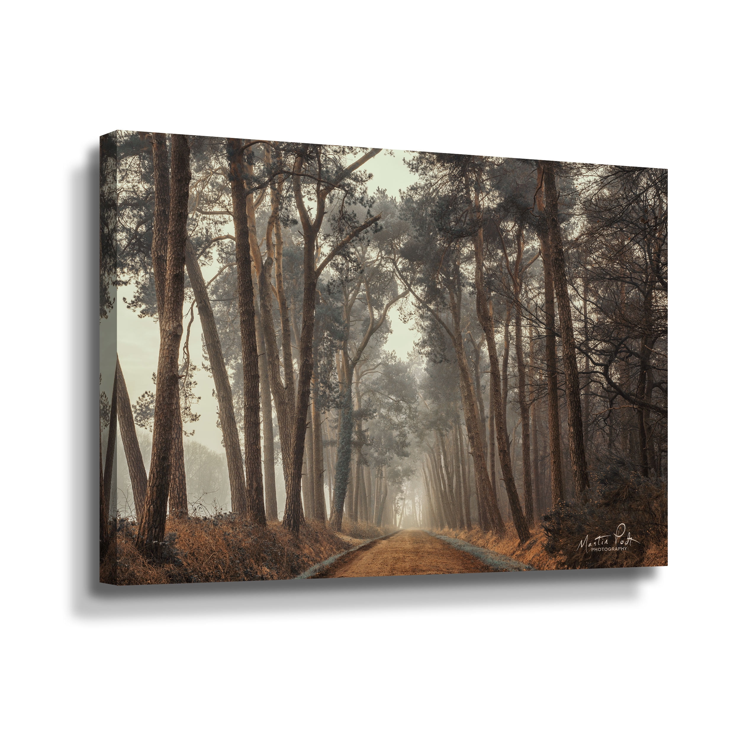 Artwall Path of Pines, Gallery Wrapped Canvas by Martin Podt