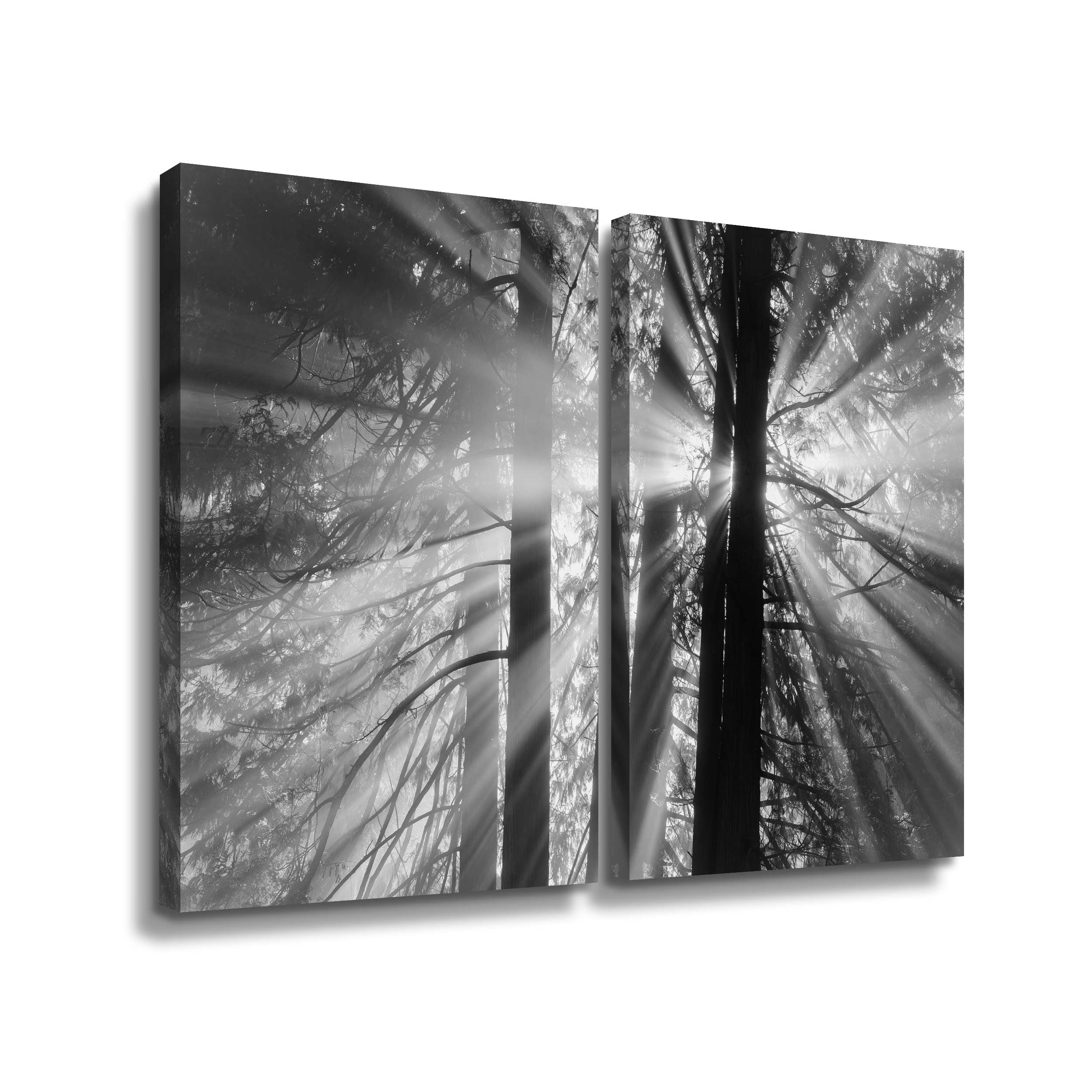 Artwall Rays, 2 Piece Gallery Wrapped Canvas Set by Tim Oldford