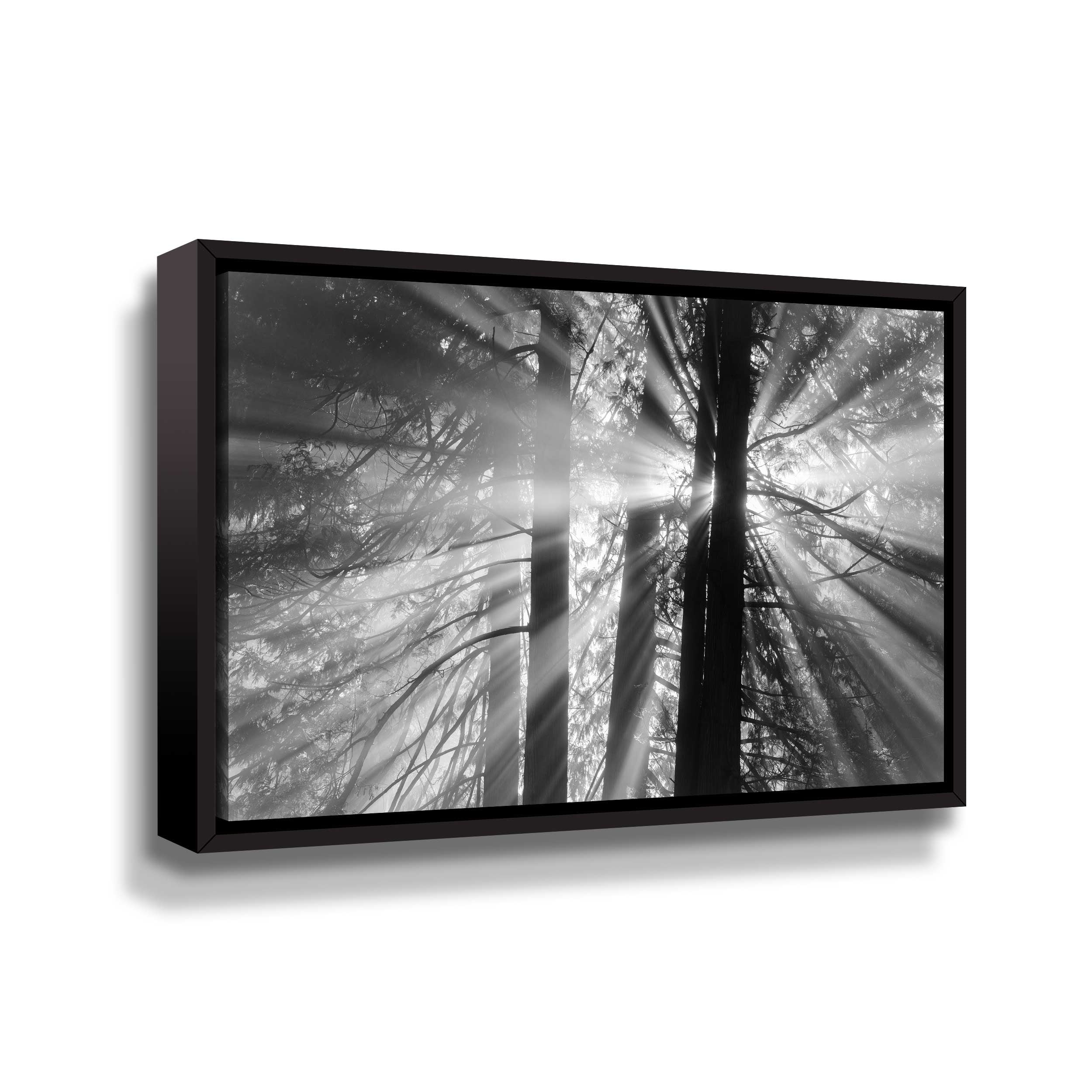 Artwall Rays, Gallery Wrapped Floater-framed Canvas by Tim Oldford