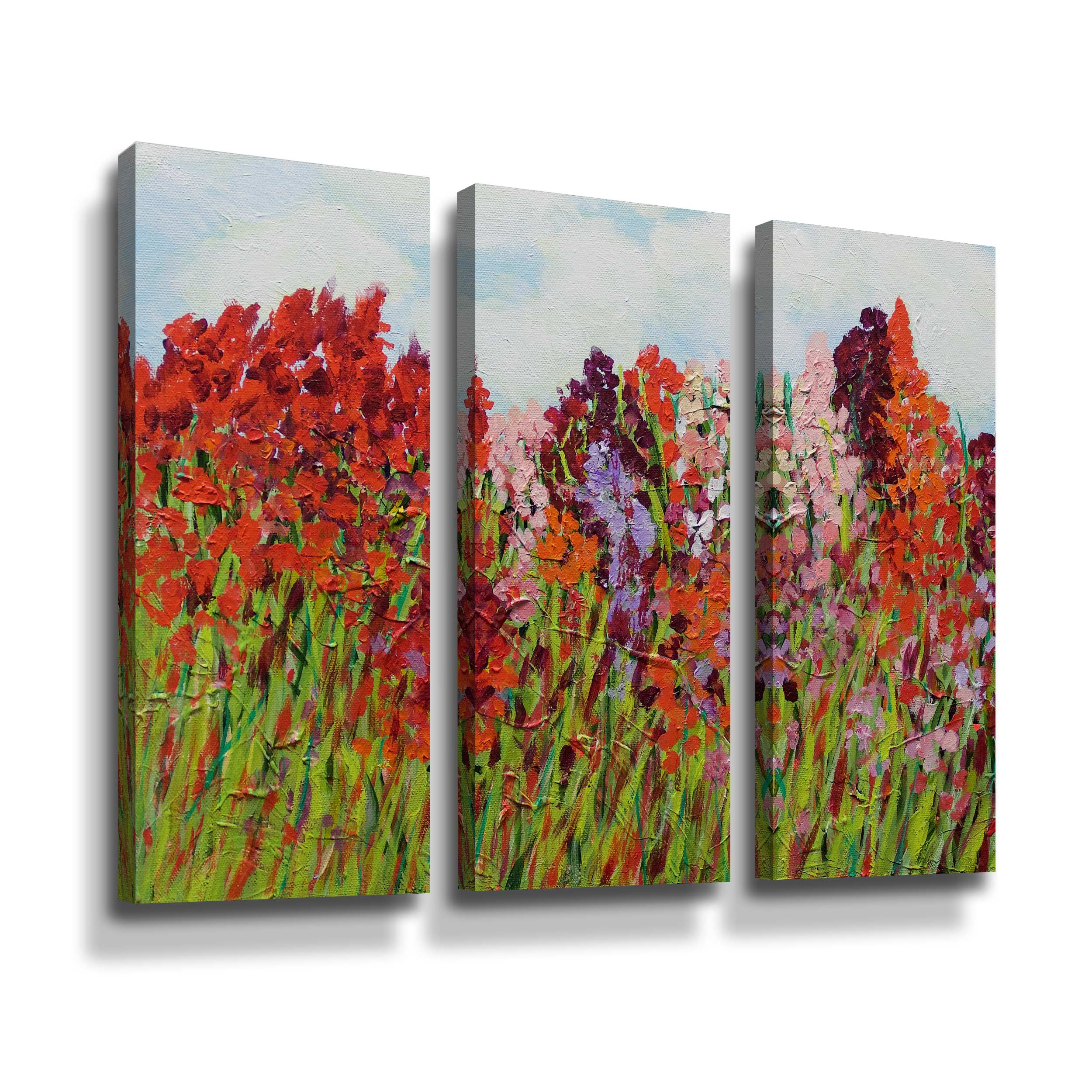 Artwall Red Garden, 3 Piece Gallery Wrapped Canvas Set by Allan Friedlander