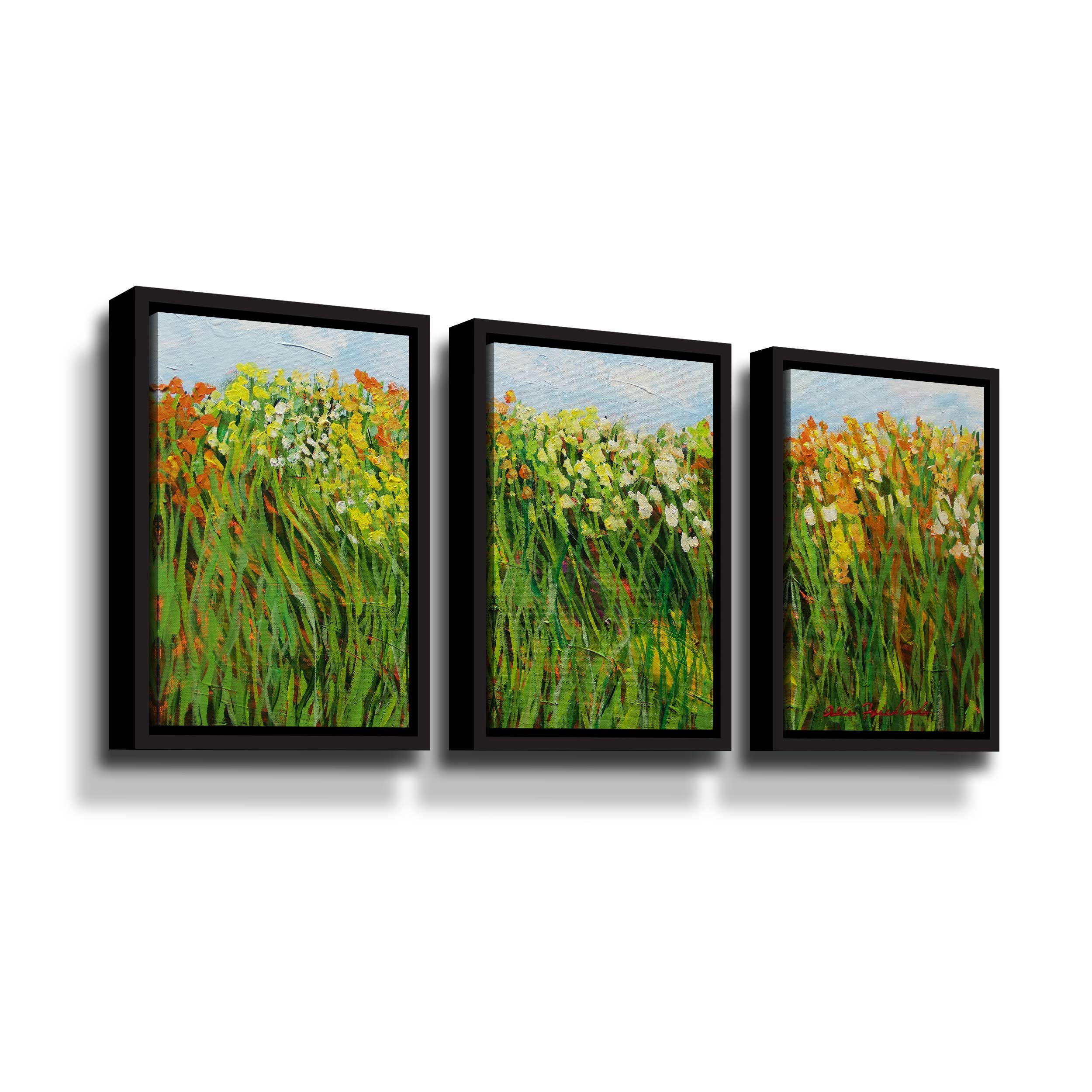 Artwall Row of Beauty, 3 Piece Floater Framed Canvas Set by Allan Friedlander