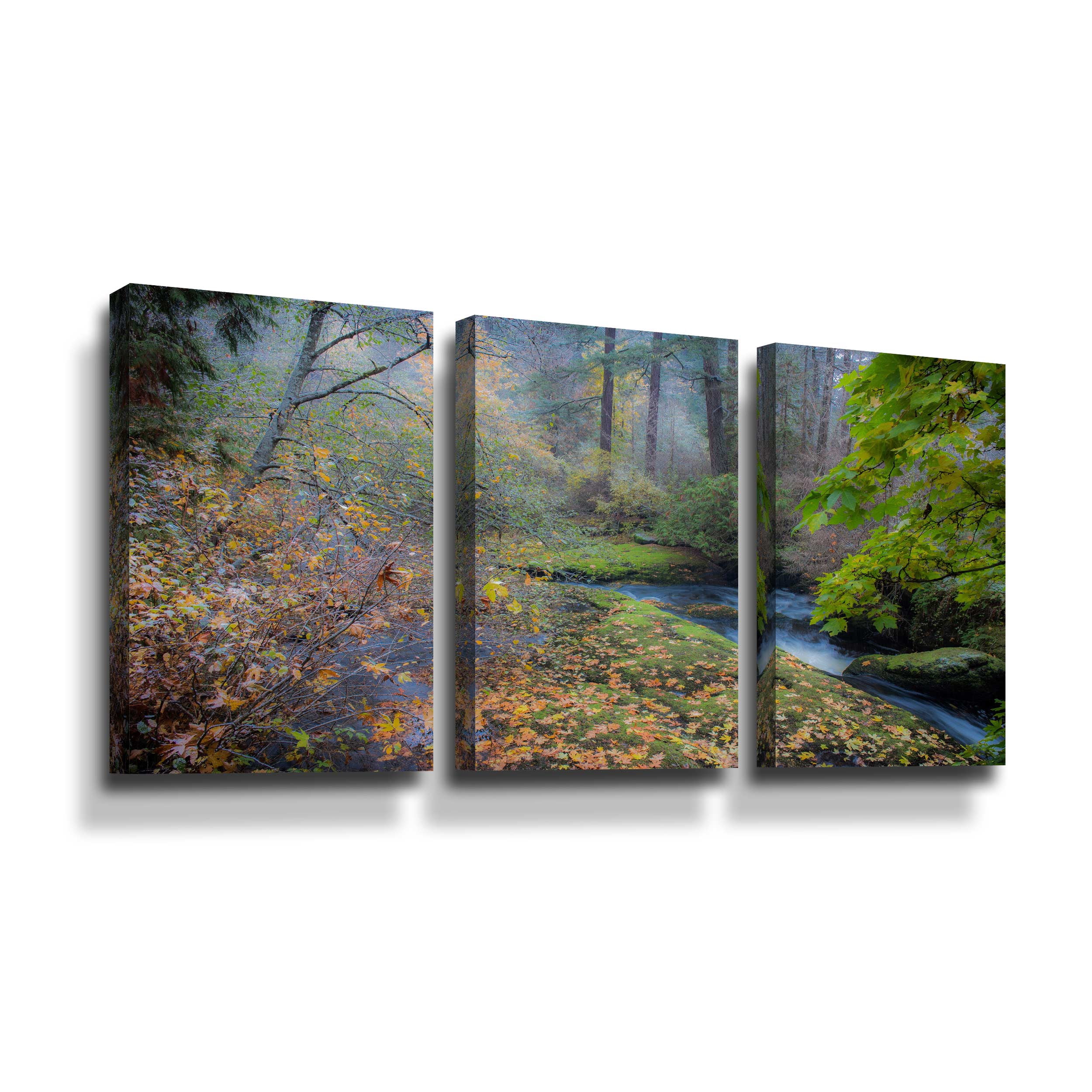 Artwall Snow in Fall, 3 Piece Gallery Wrapped Canvas Set by Tim Oldford