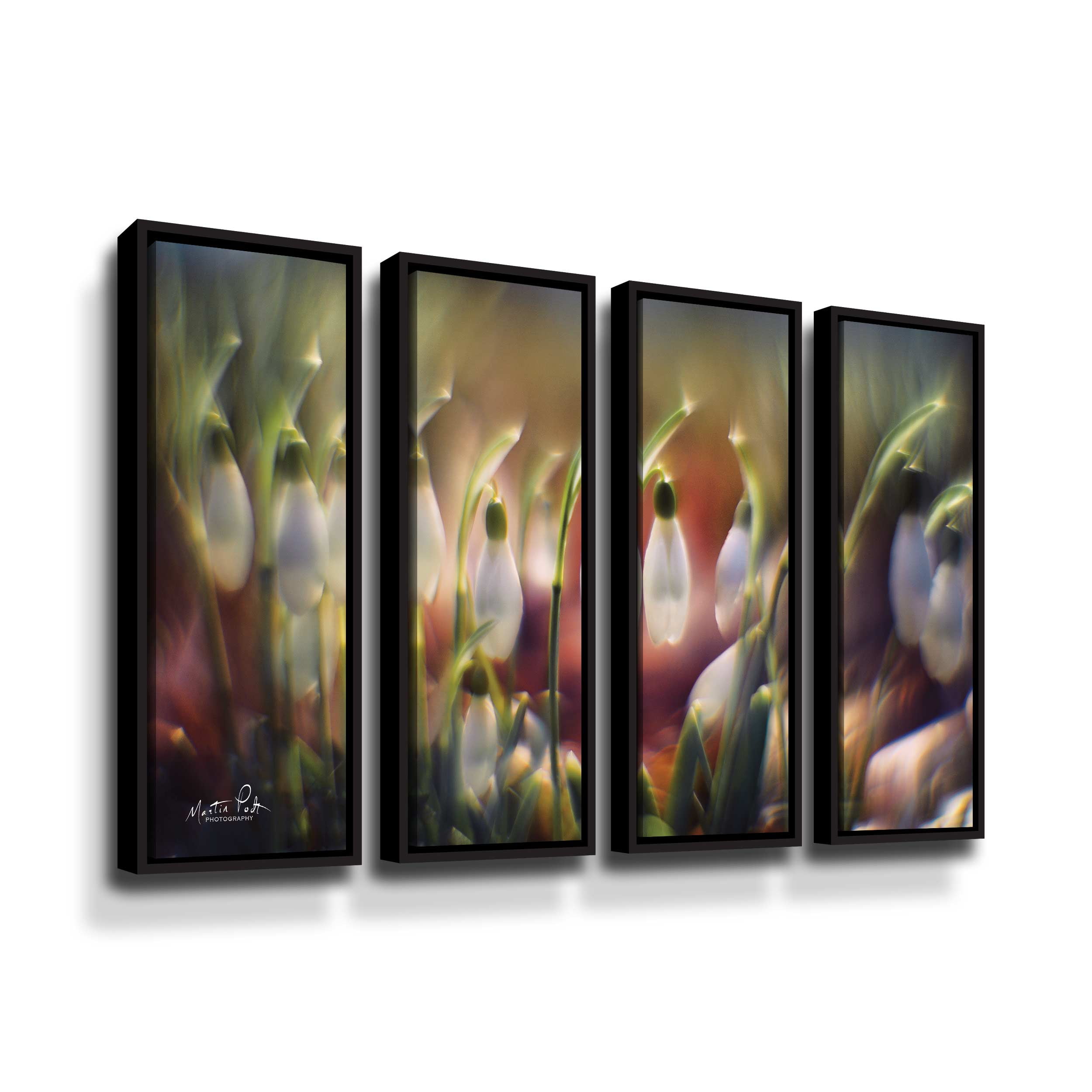 Artwall Snowdrops, 4 Piece Floater Framed Canvas Set by Martin Podt