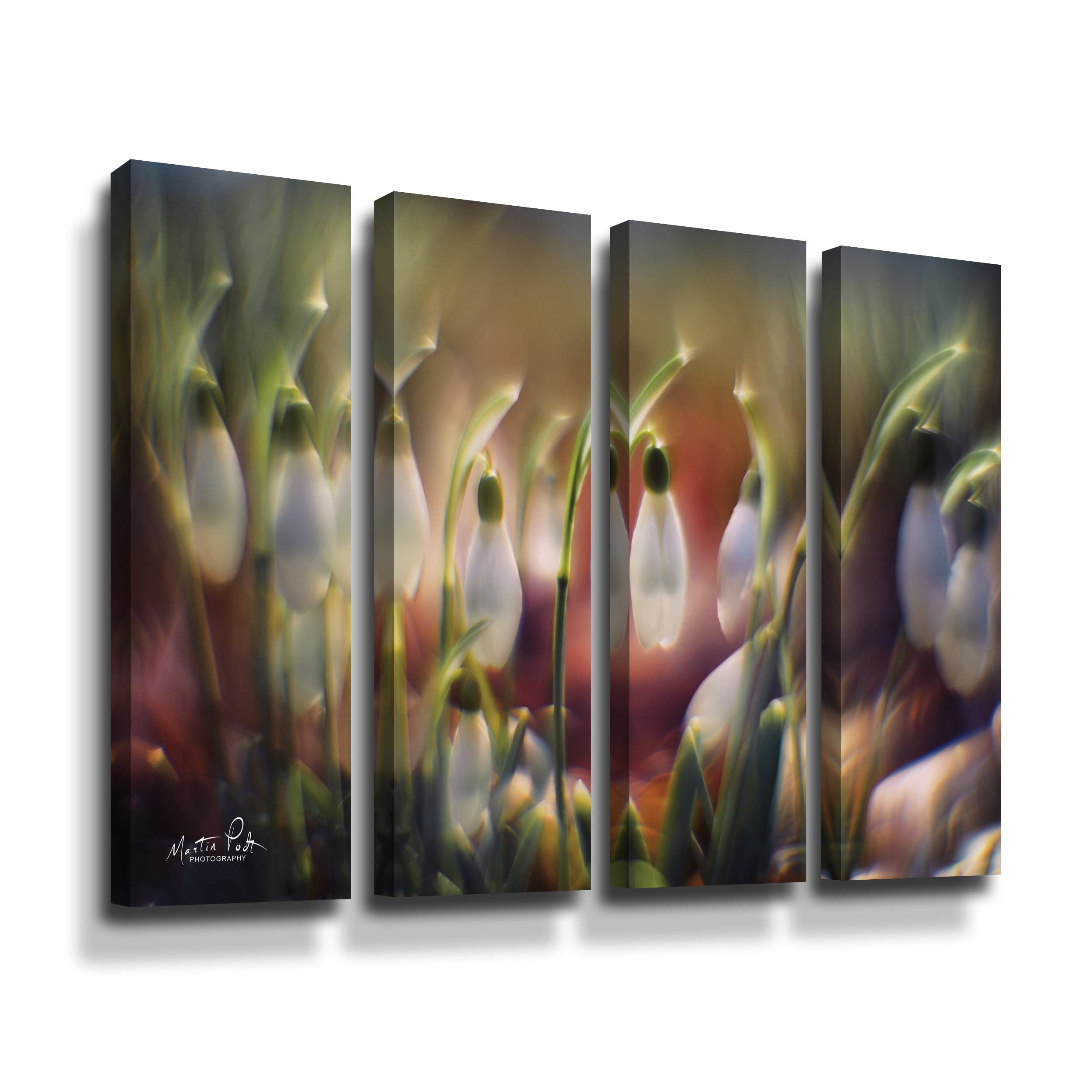Artwall Snowdrops, 4 Piece Gallery Wrapped Canvas Set by Martin Podt