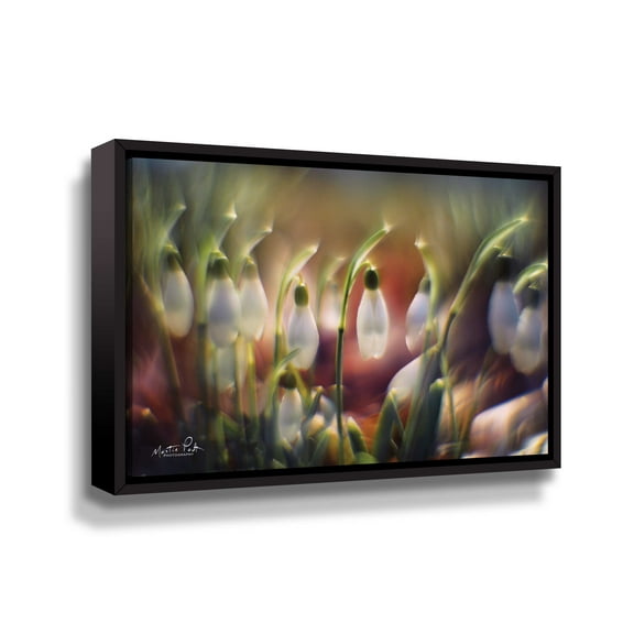 Artwall Snowdrops, Gallery Wrapped Floater-framed Canvas by Martin Podt