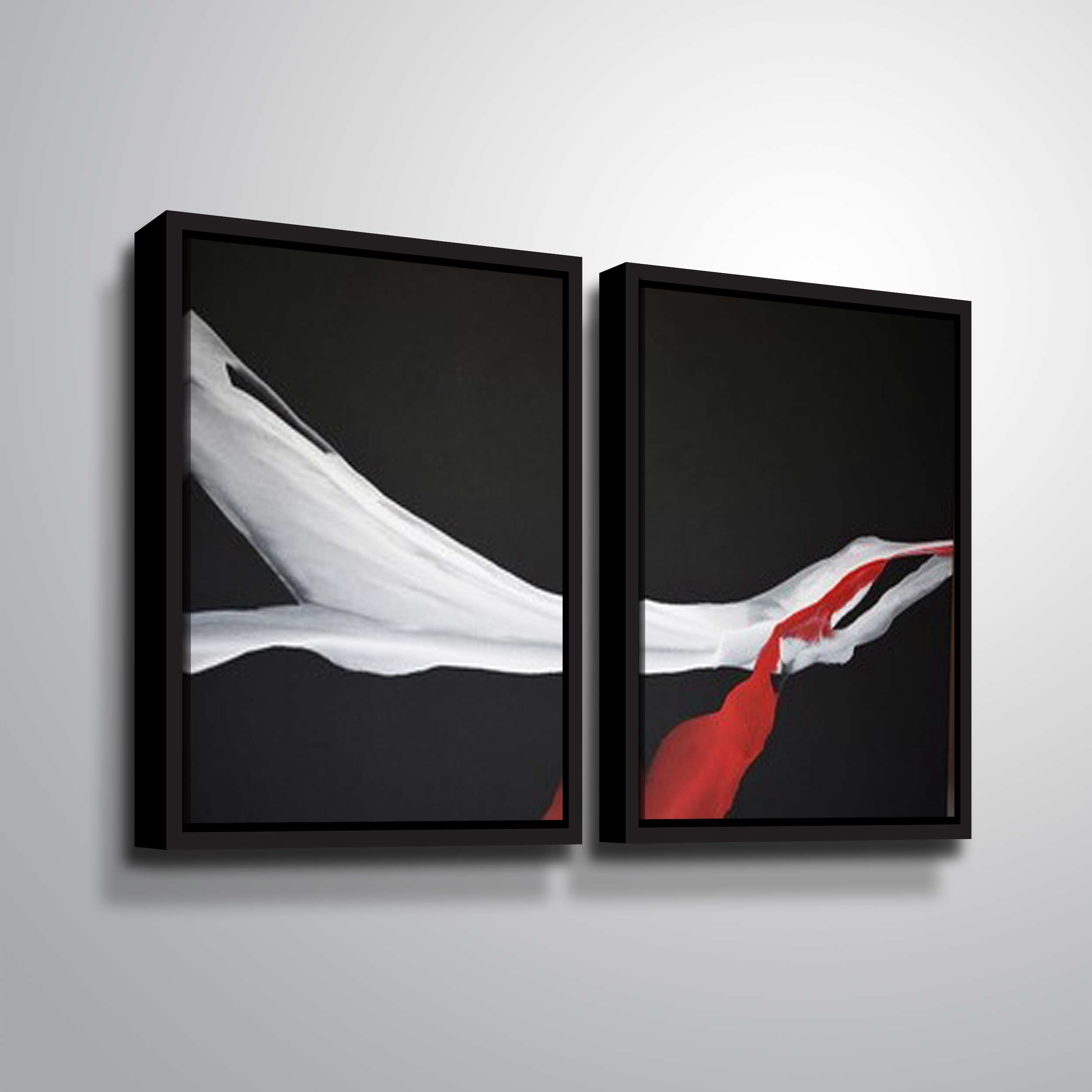 Artwall Swan Wing, 2 Piece Floater Framed Canvas Set by Patricia Coulter