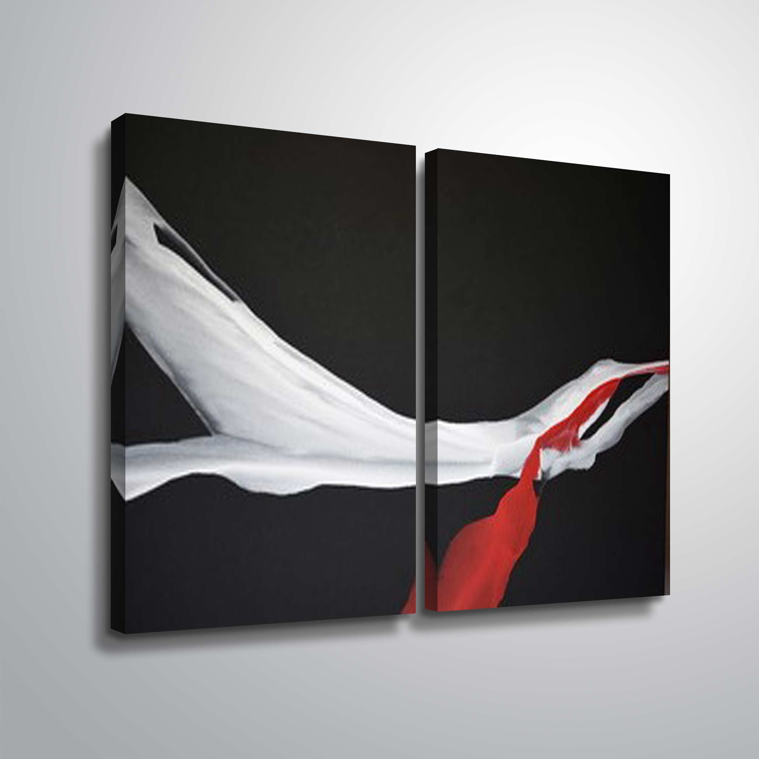 Artwall Swan Wing, 2 Piece Gallery Wrapped Canvas Set by Patricia Coulter