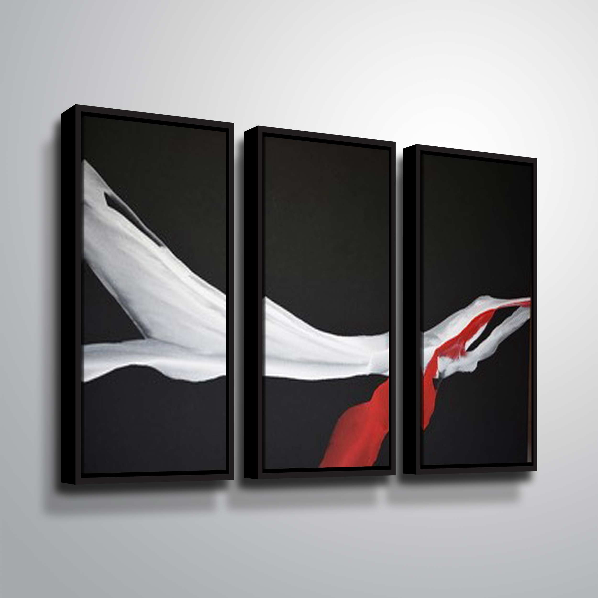 Artwall Swan Wing, 3 Piece Floater Framed Canvas Set by Patricia Coulter